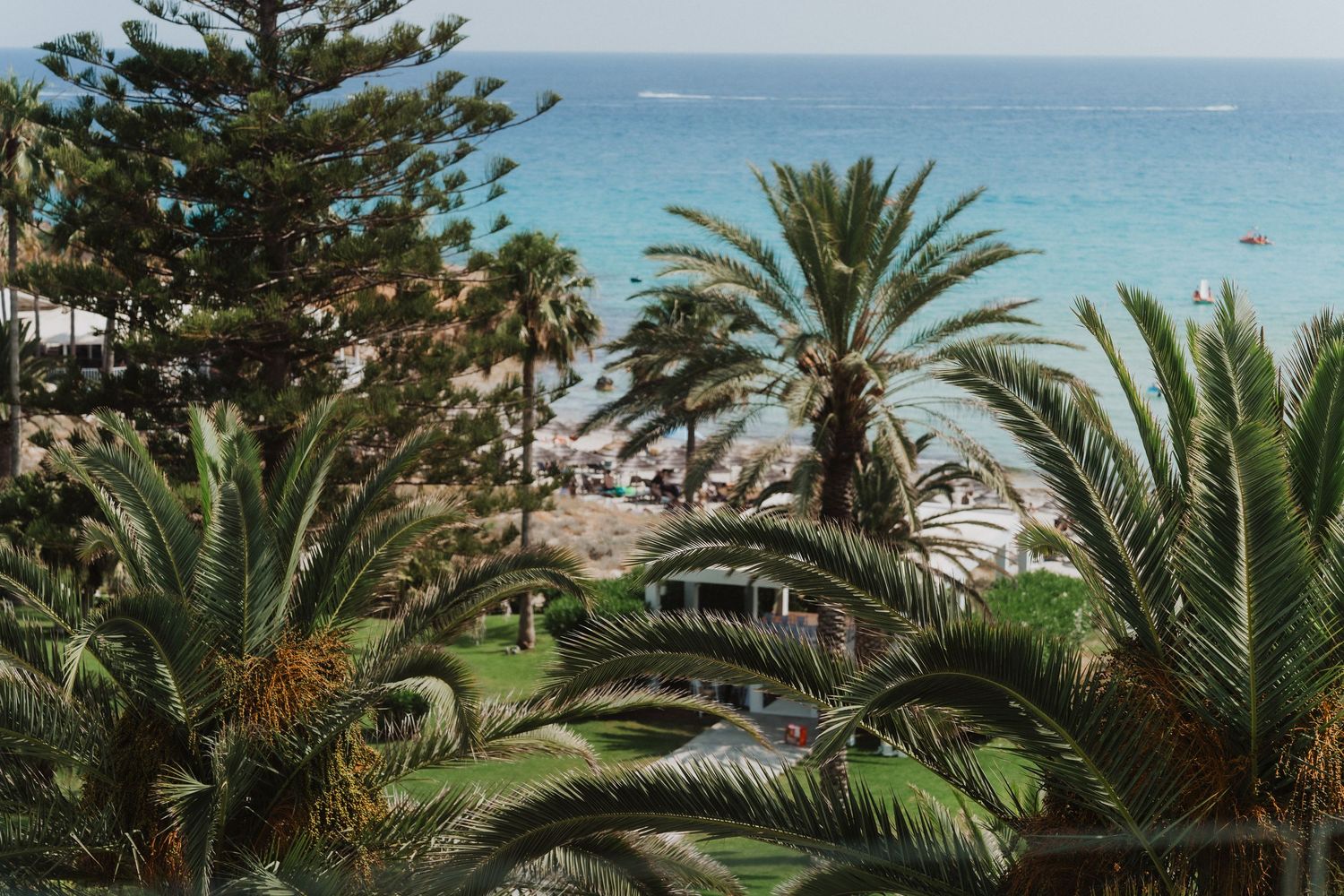 Tropical beach view through lush palm trees with turquoise ocean water.