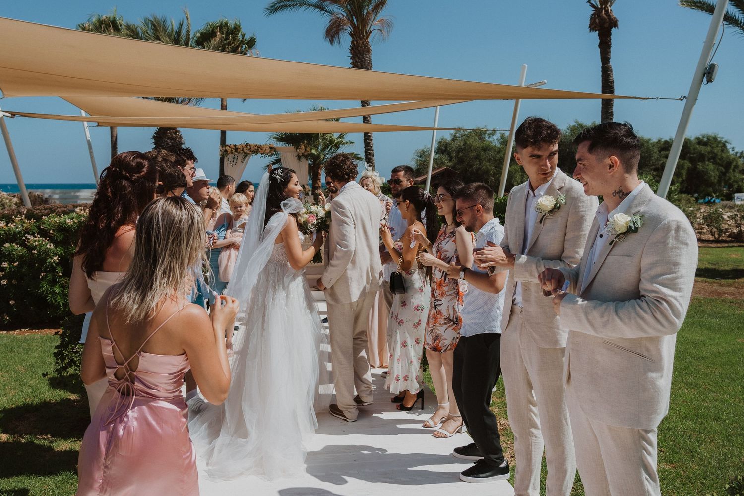 Wedding celebration on grass with palm trees and tan shade sails overhead.