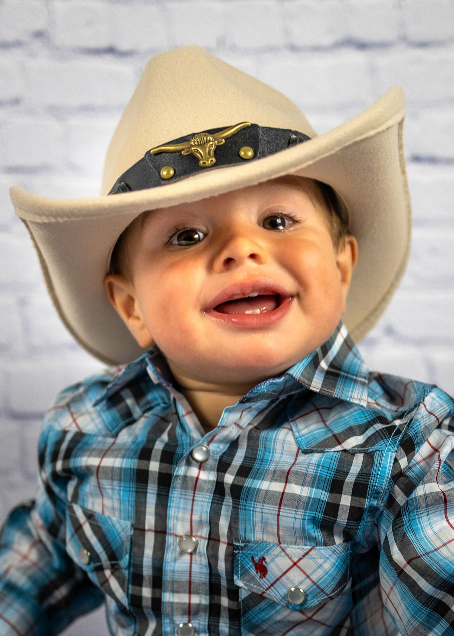 Baby boy first birthday milestone photos
