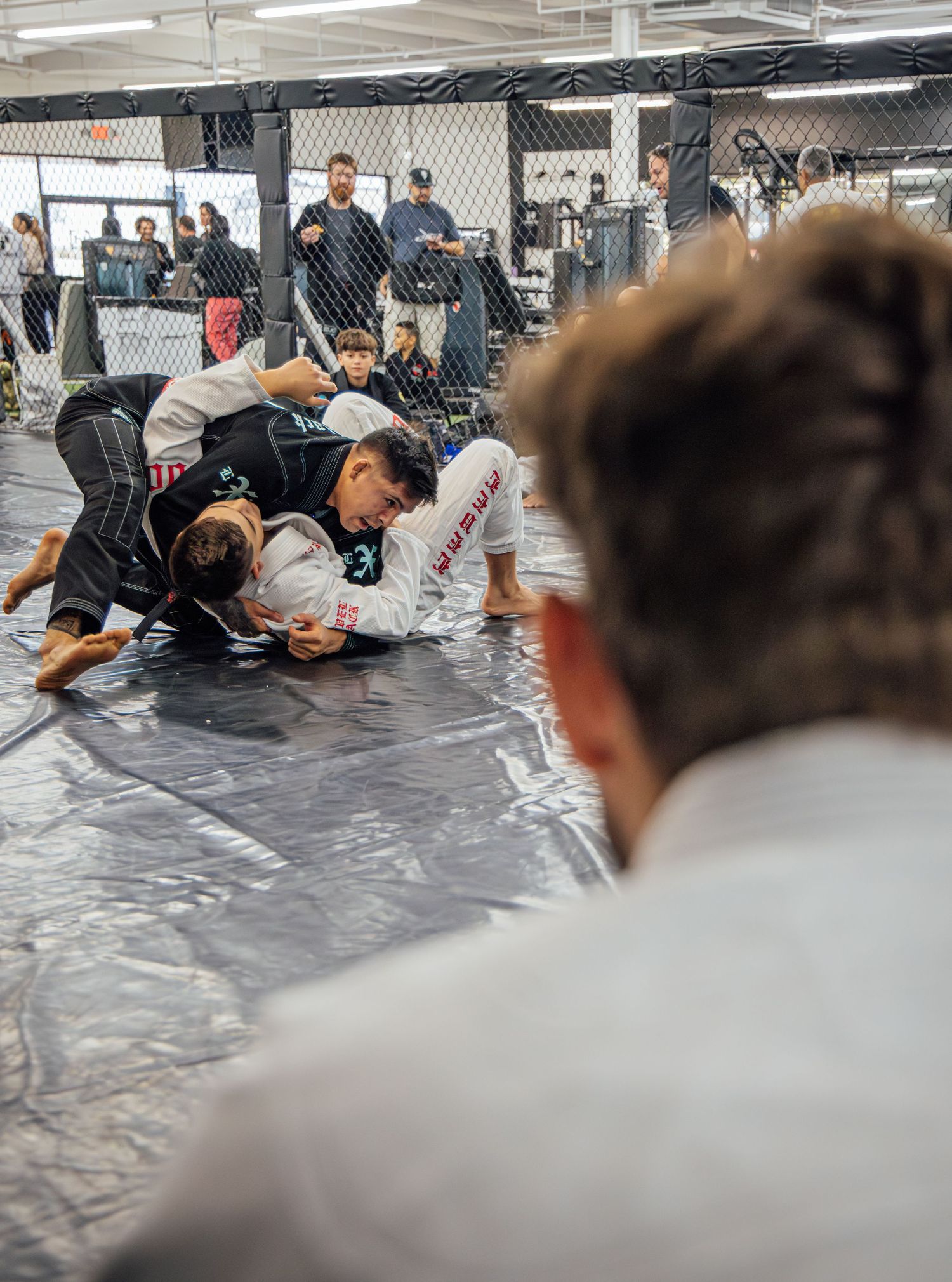 Brazilian Jiu-Jitsu athletes competing in Richardson Texas