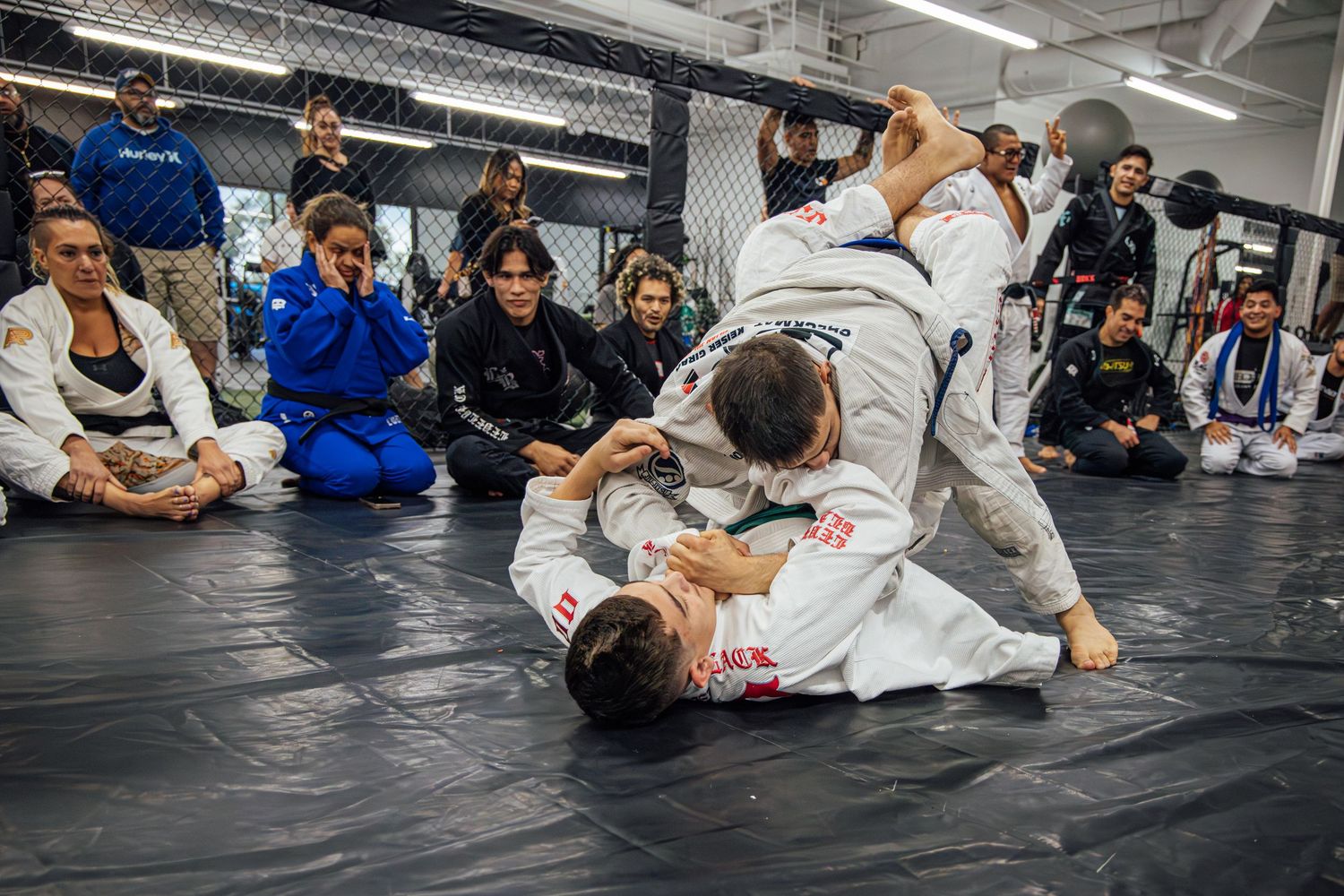 Brazilian Jiu-Jitsu athletes competing in Richardson Texas