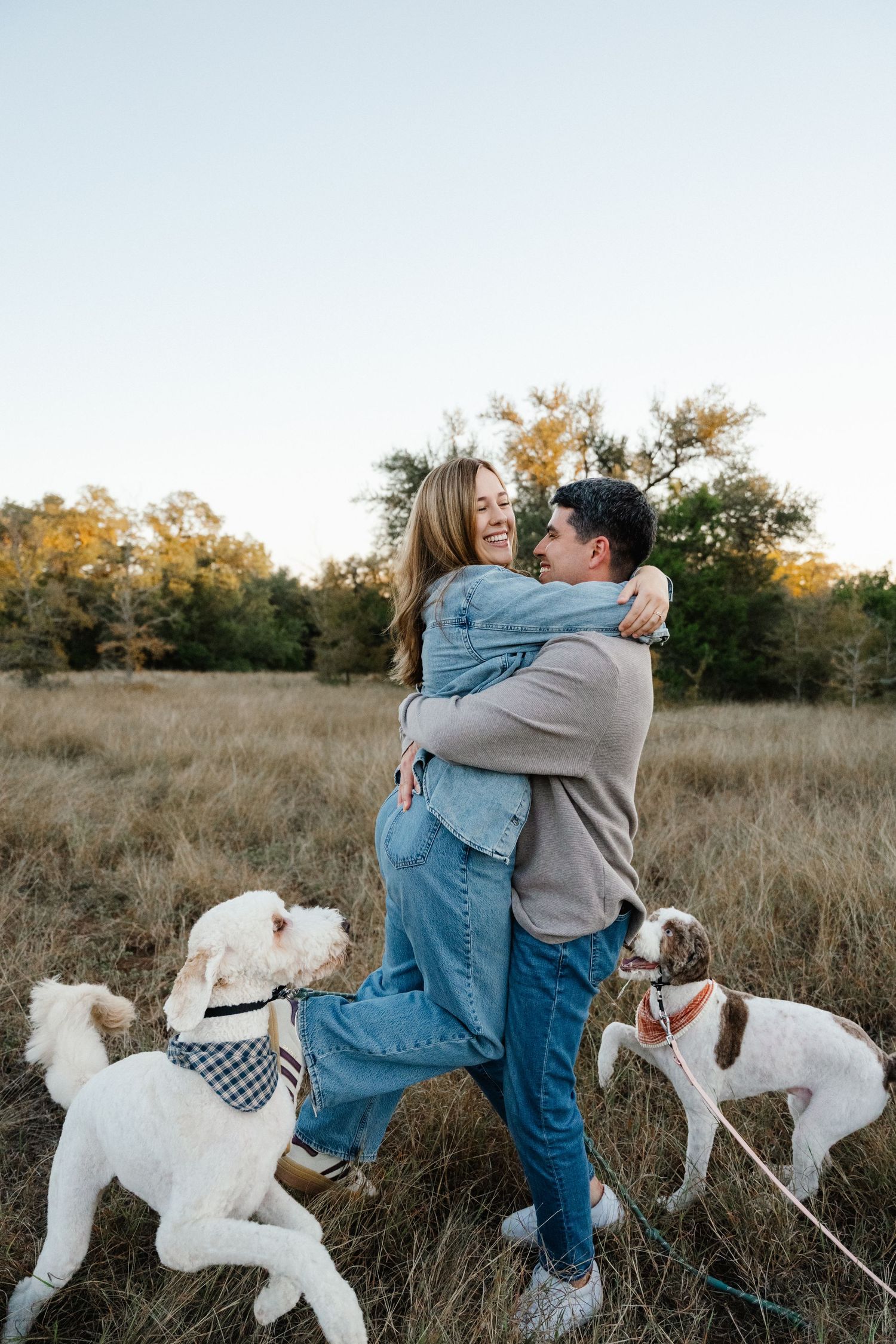 Happy couple embracing and laughing in a golden field with two dogs on leashes.
