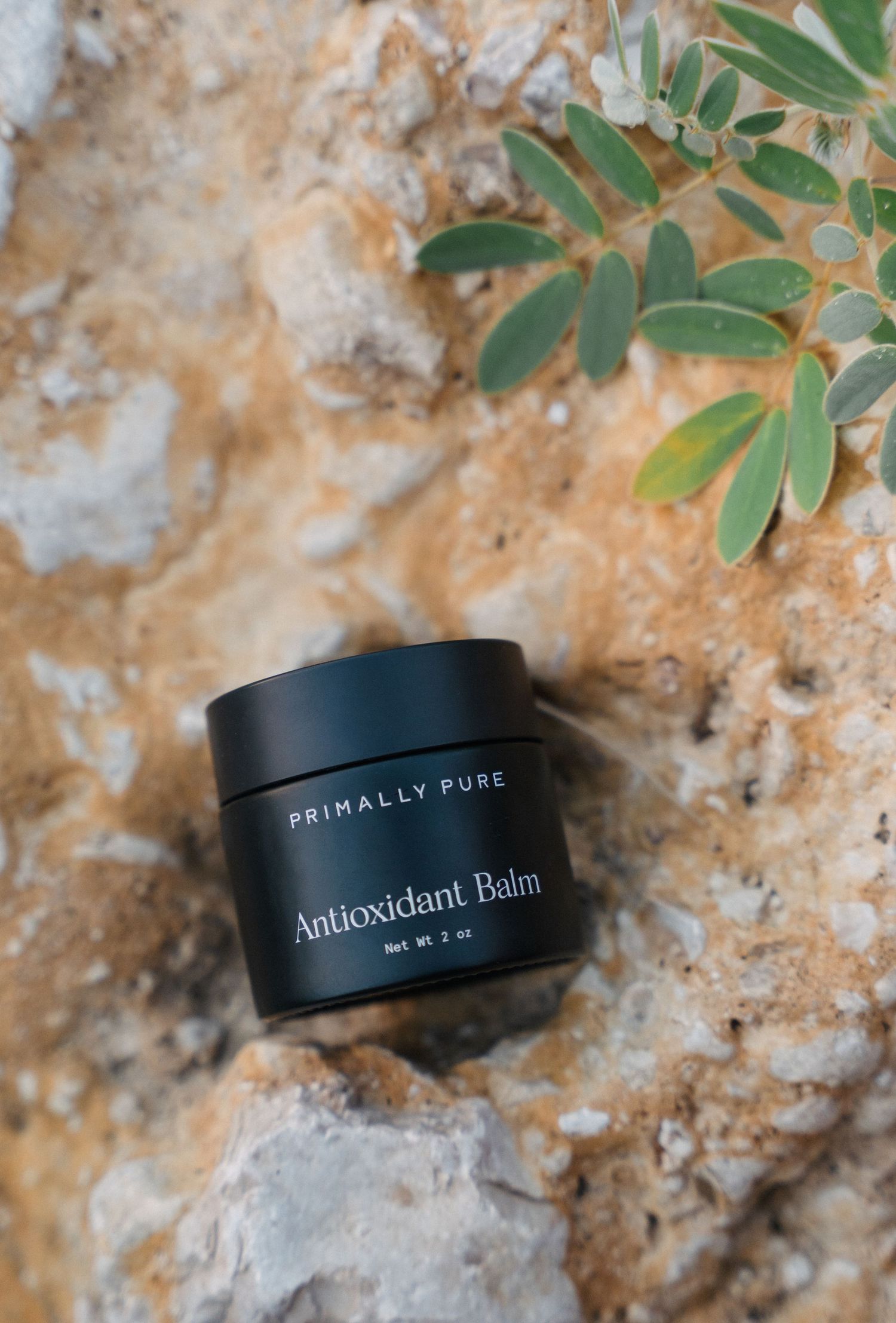 Primally Pure Antioxidant Balm black jar on textured stone surface with green leaves above.