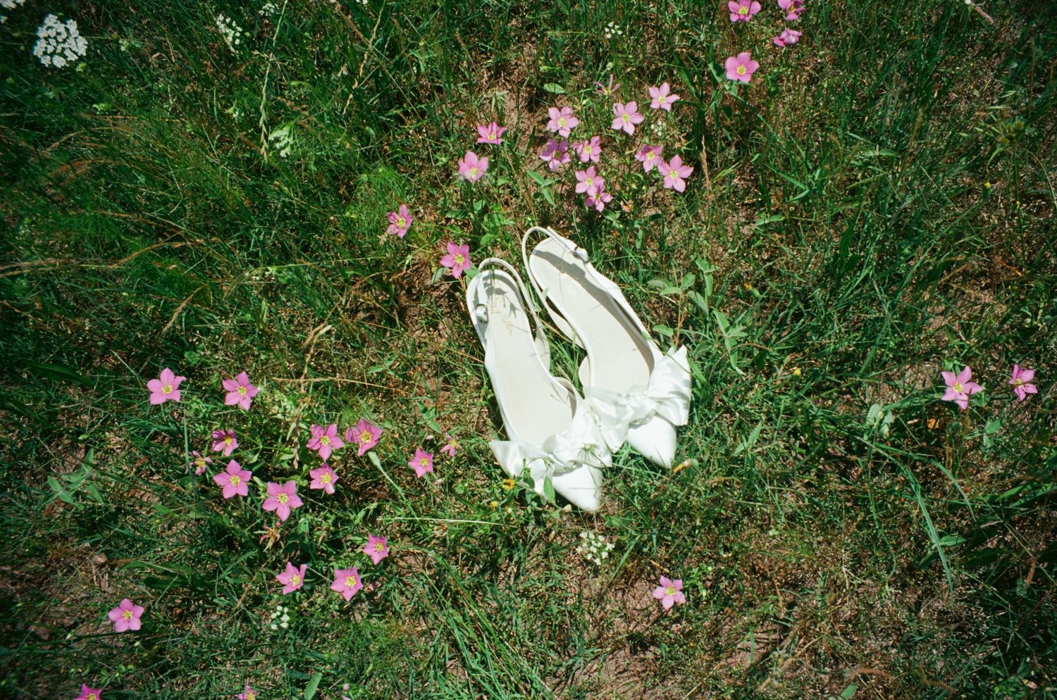 White bow slingback heels resting on lush green grass surrounded by delicate pink wildflowers in a garden setting.