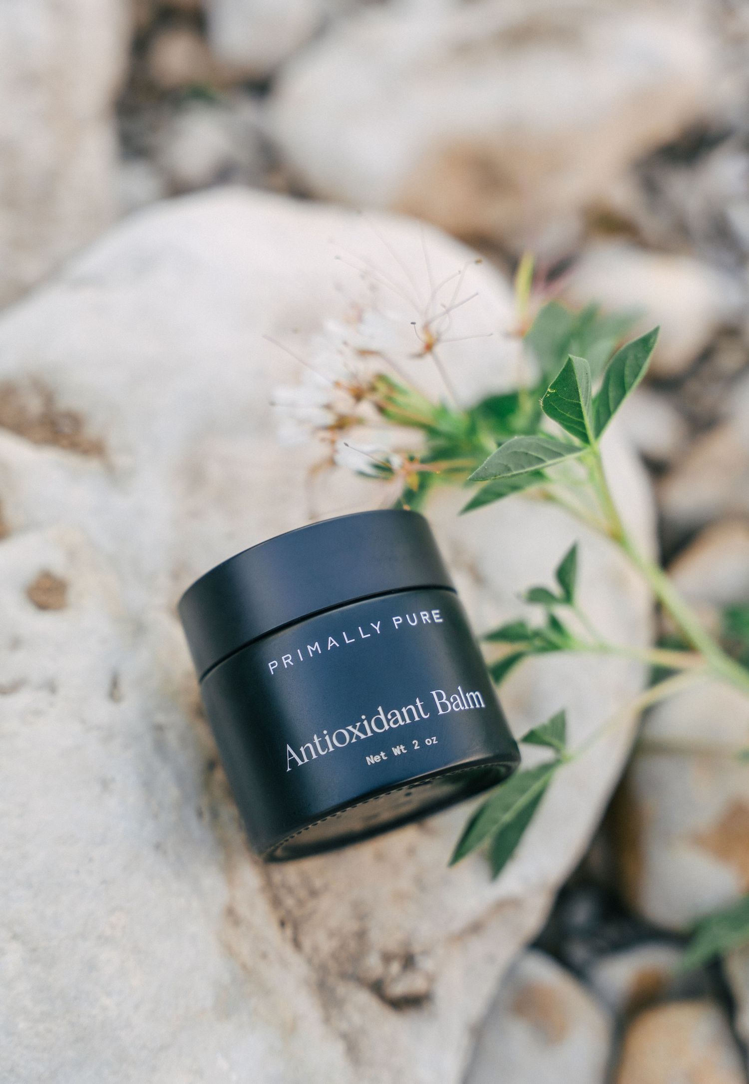 Primally Pure Antioxidant Balm jar on rocks with wildflowers, natural skincare product photography.