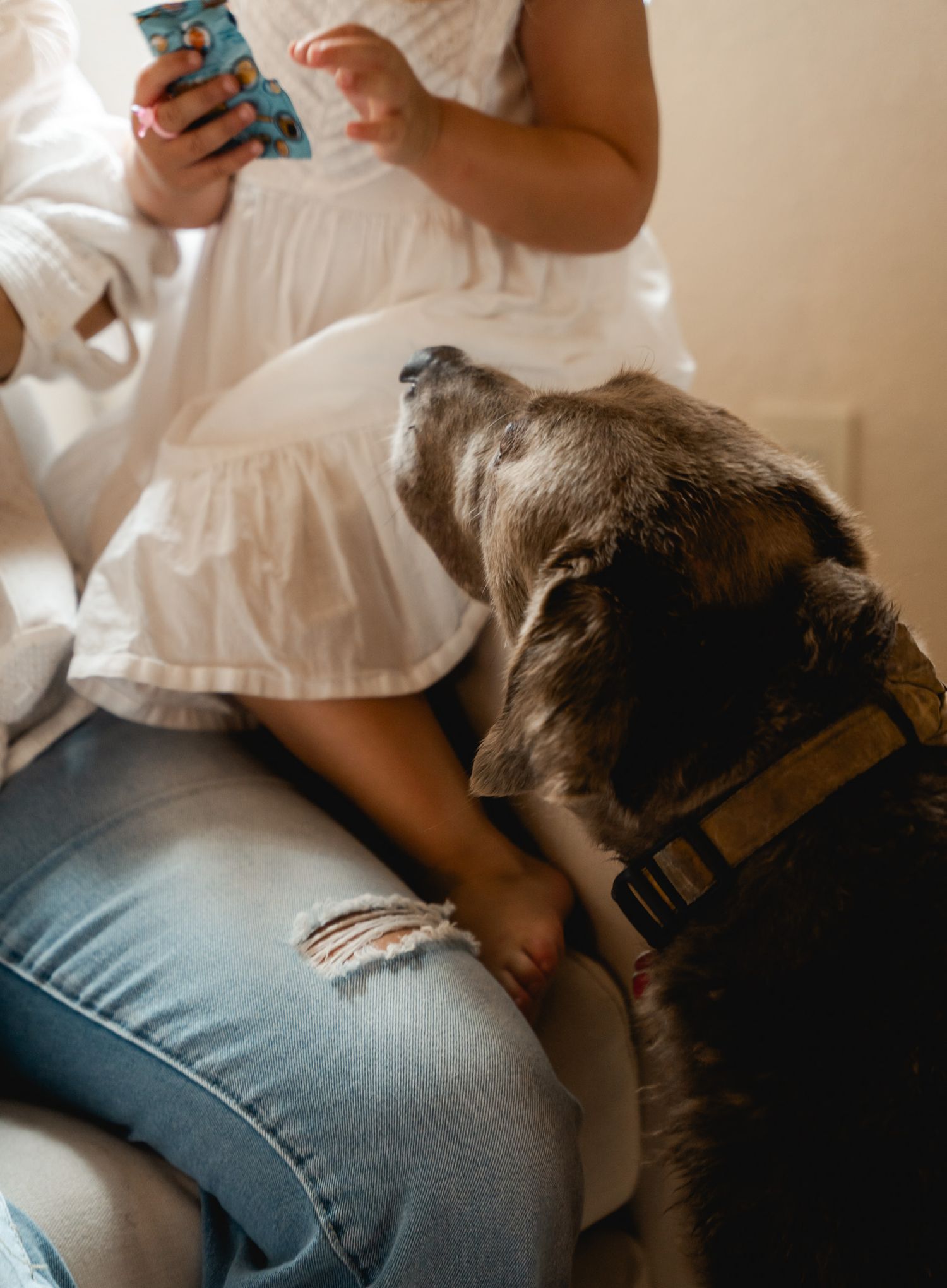 Large dog resting head on persons lap while child holds toy nearby.
