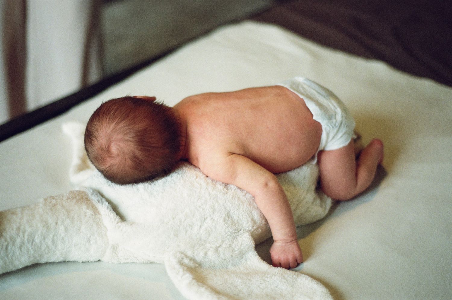 Newborn sleeping on a stuffed animal goose.