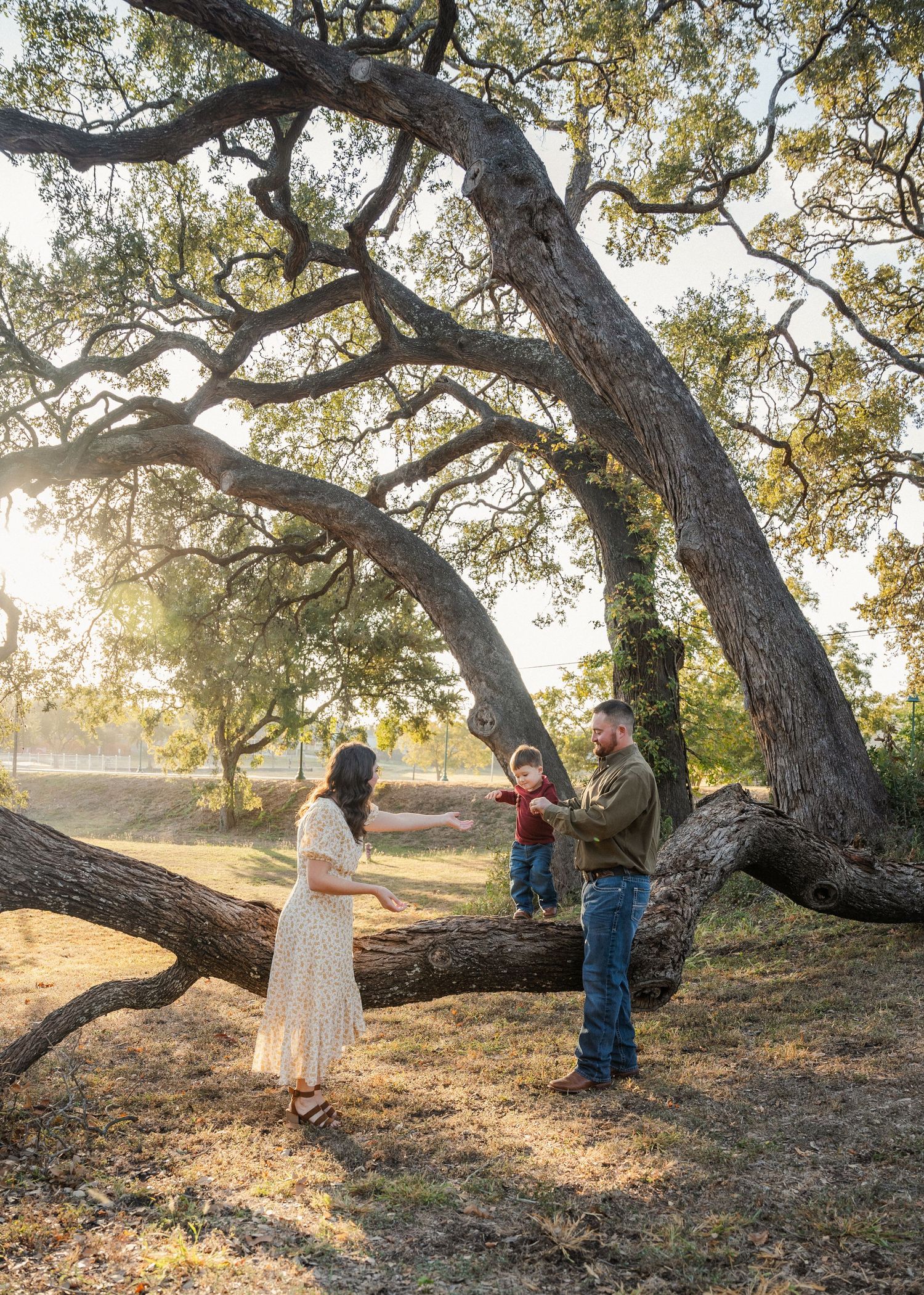 A family of three stands beneath a sprawling oak tree in warm sunset light during an outdoor photo session.