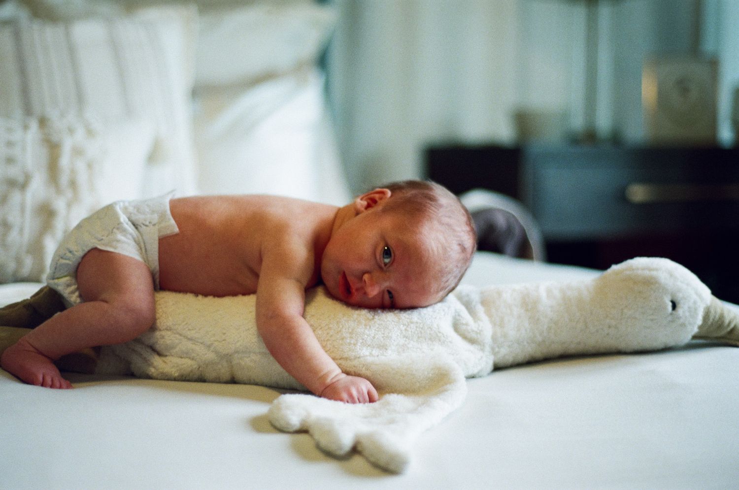 Newborn baby lying on a white stuffed animal goose on a bed.