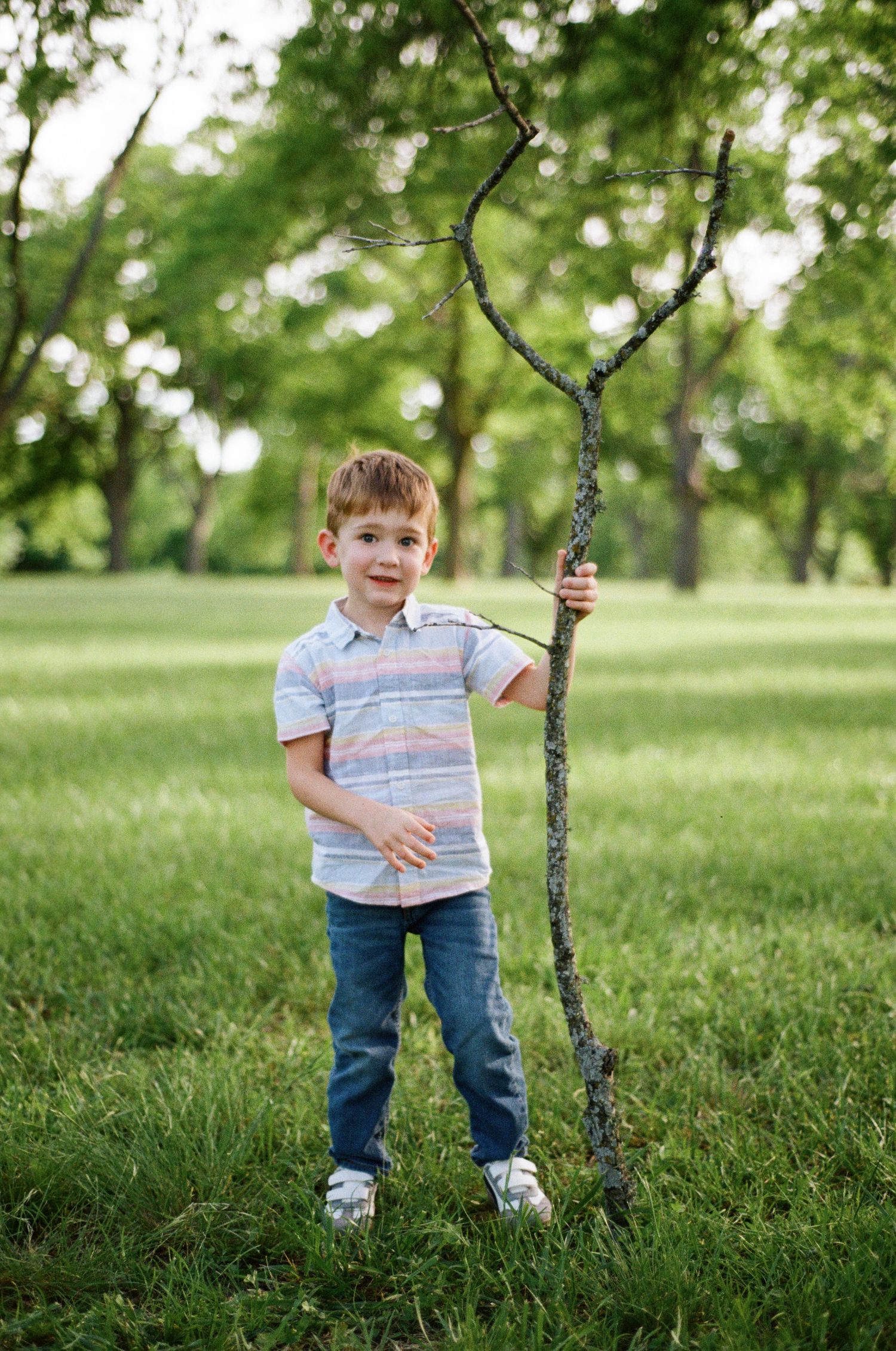A young boy in a striped shirt holds a tall tree branch in a green park.
