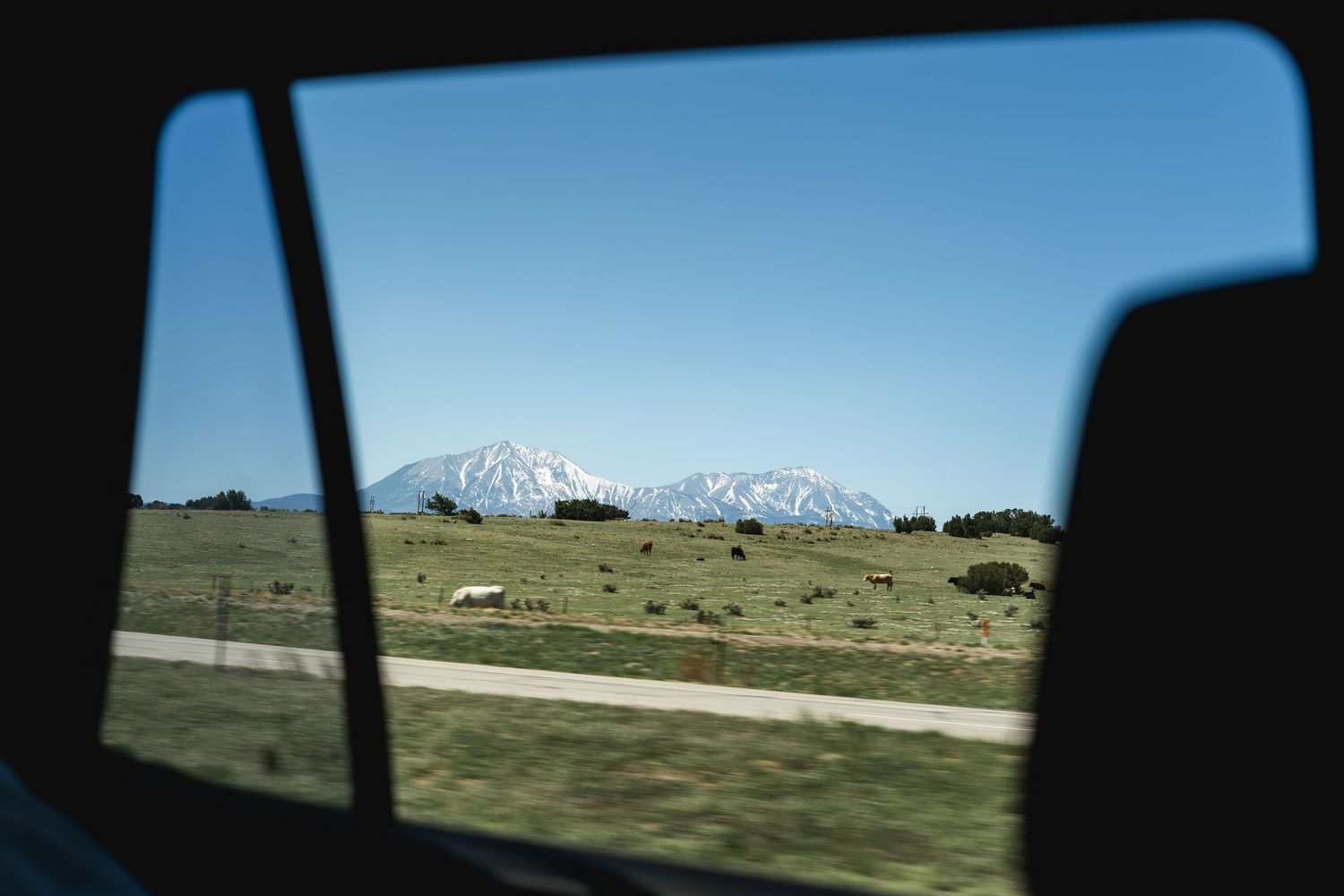 View through a car window of snow-capped mountains rising above a vast green meadow under a clear blue sky.