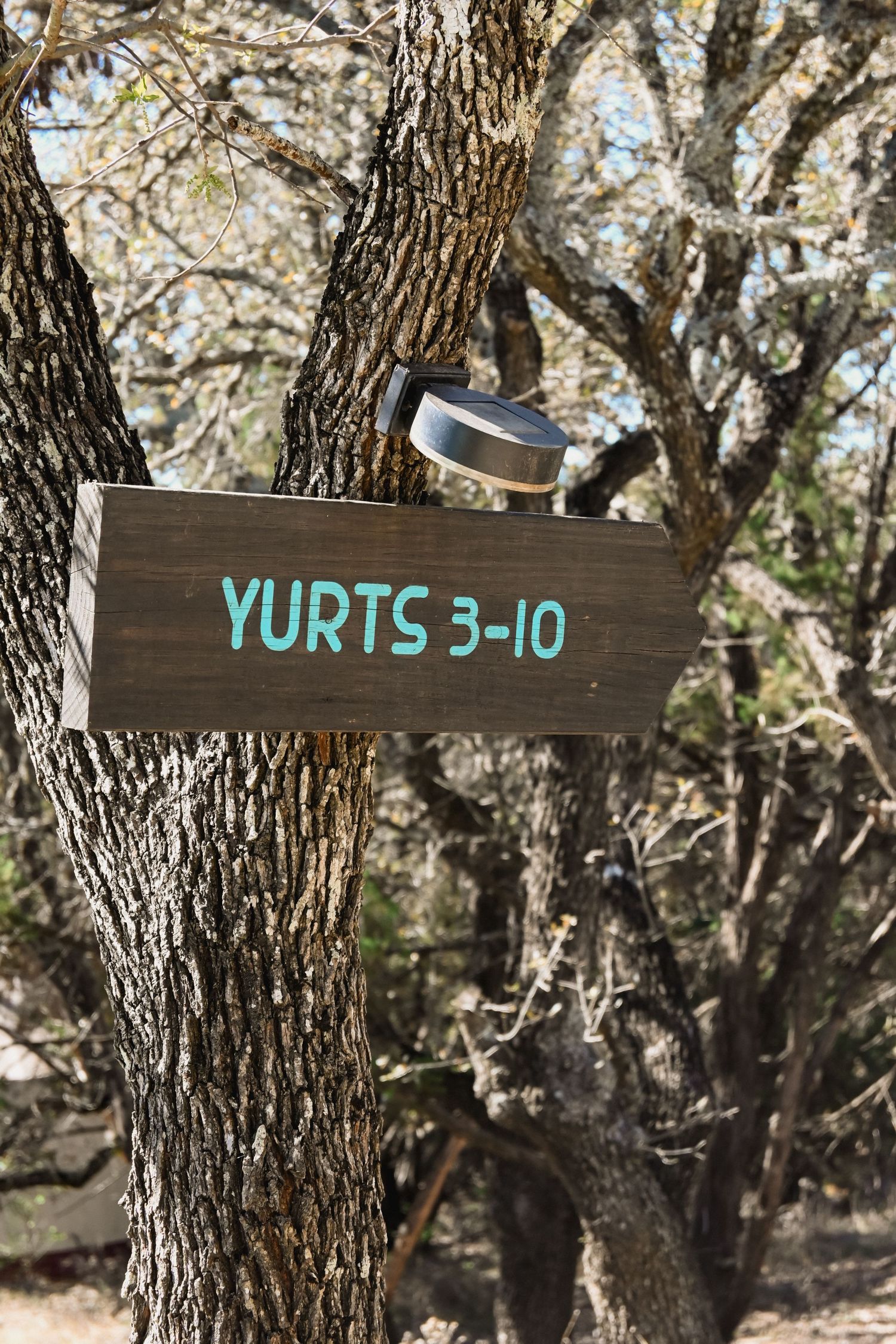 Wooden directional sign for Yurts 3-10 mounted on a tree in a wooded campground.
