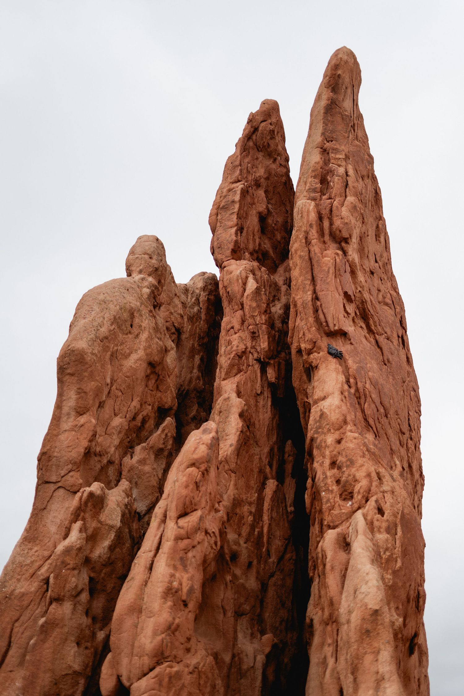 Close-up of tall jagged red sandstone rock spires reaching into overcast sky at Garden of the Gods.
