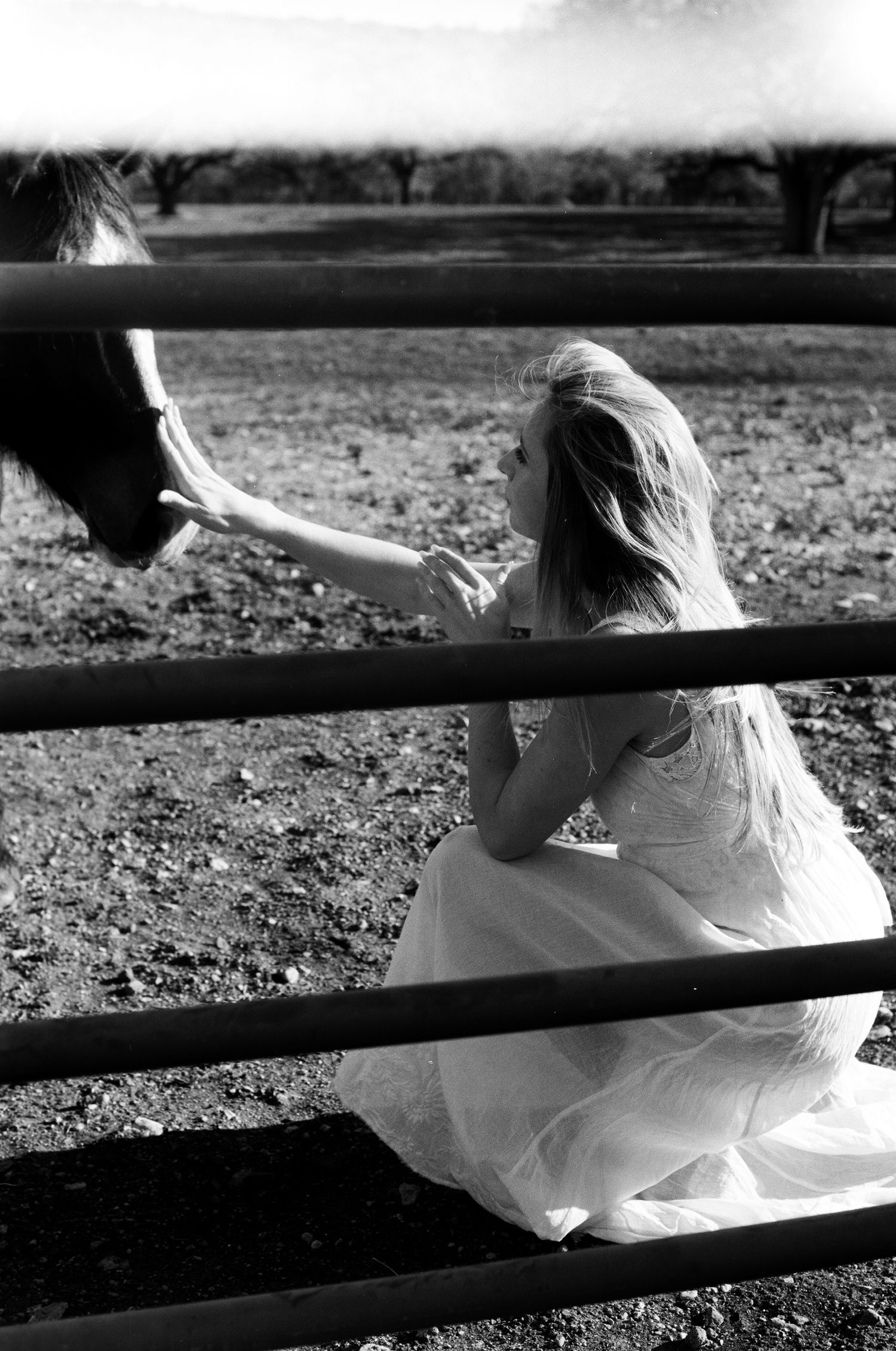Woman in white dress reaching through fence rails to touch a horse on a rural farm.
