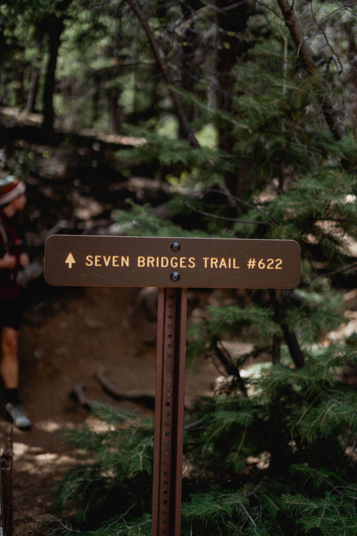 Seven Bridges Trail #622 brown wooden sign in a forested hiking area.