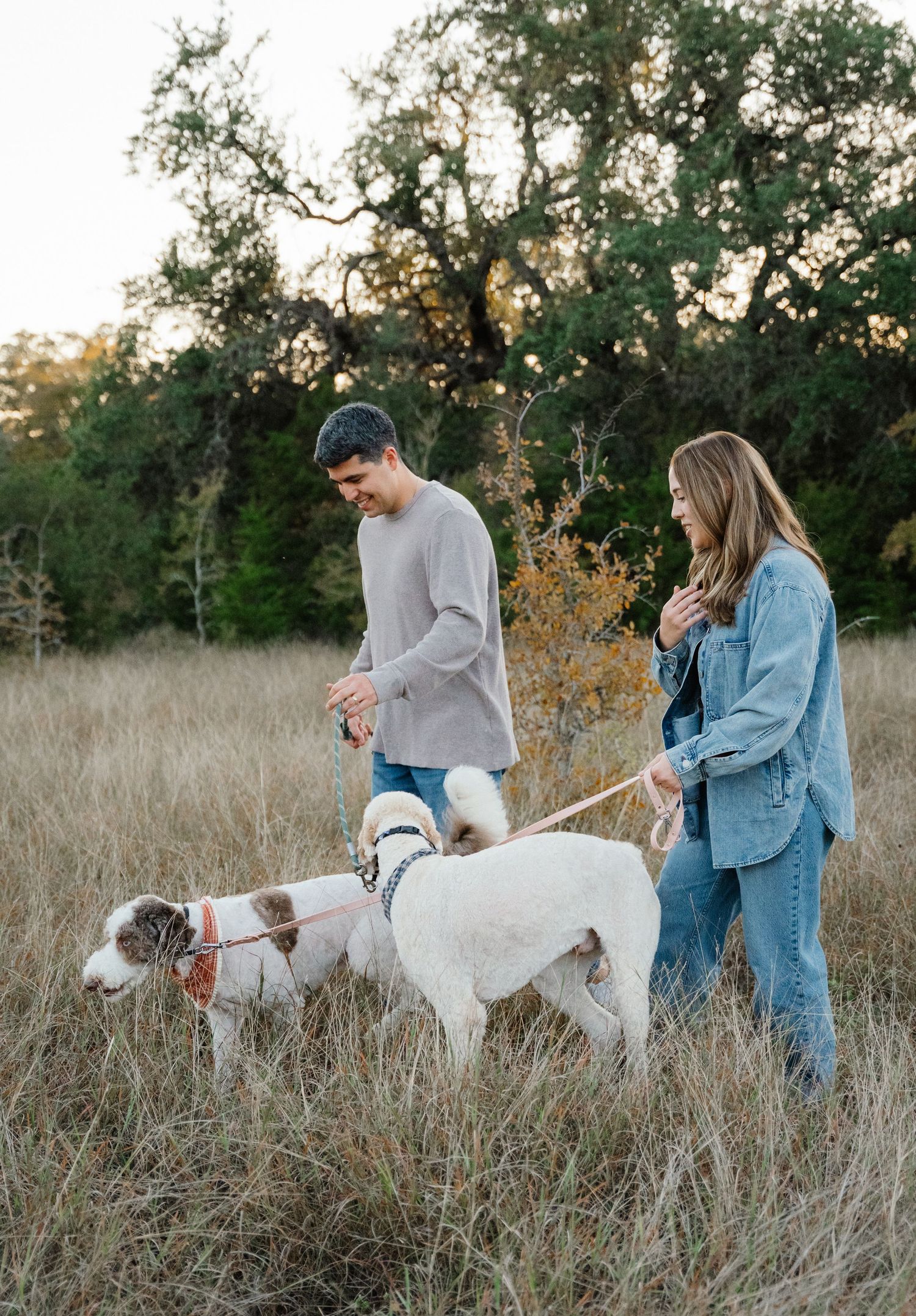 Couple walking two dogs through tall golden grass in a scenic outdoor field at dusk.