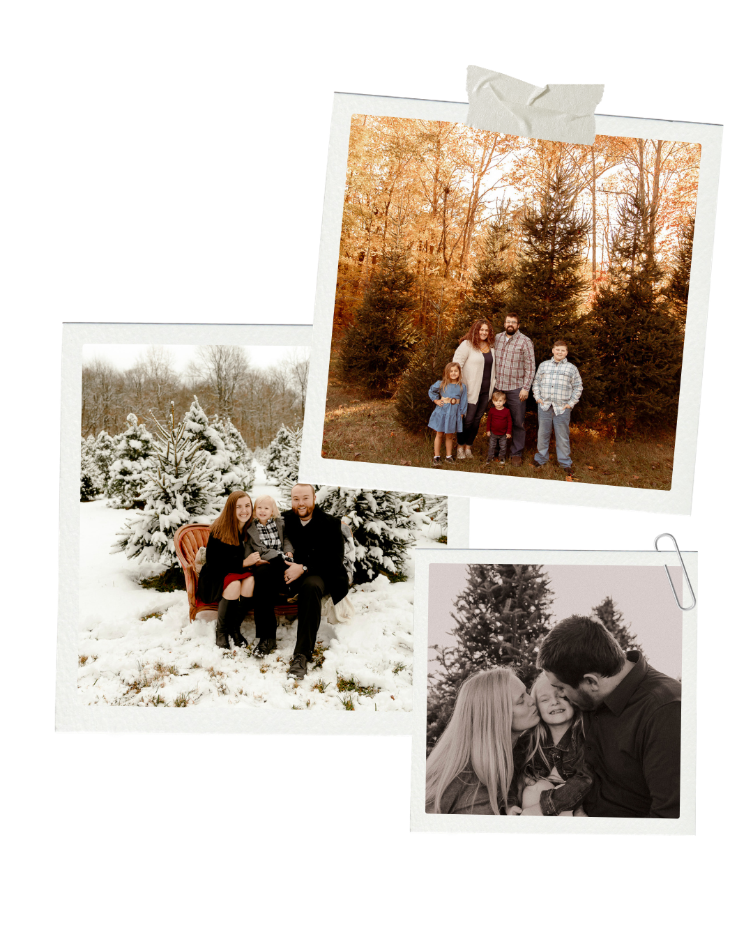 Collage of three family photos at a Christmas tree farm, featuring holiday portraits in snowy and autumn outdoor settings.