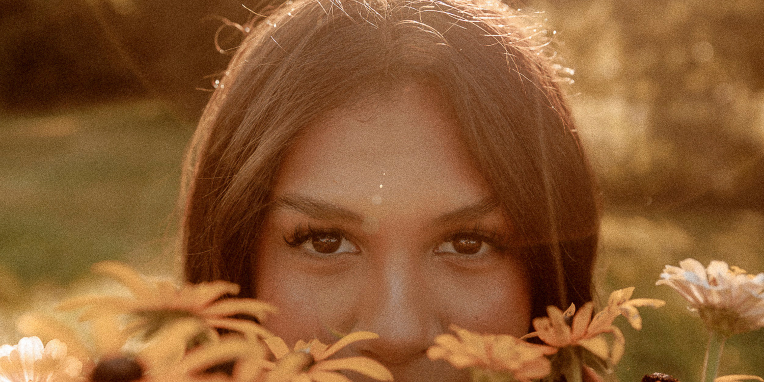 A golden sunset illuminates autumn leaves and branches in a dreamy, warm-toned forest scene.