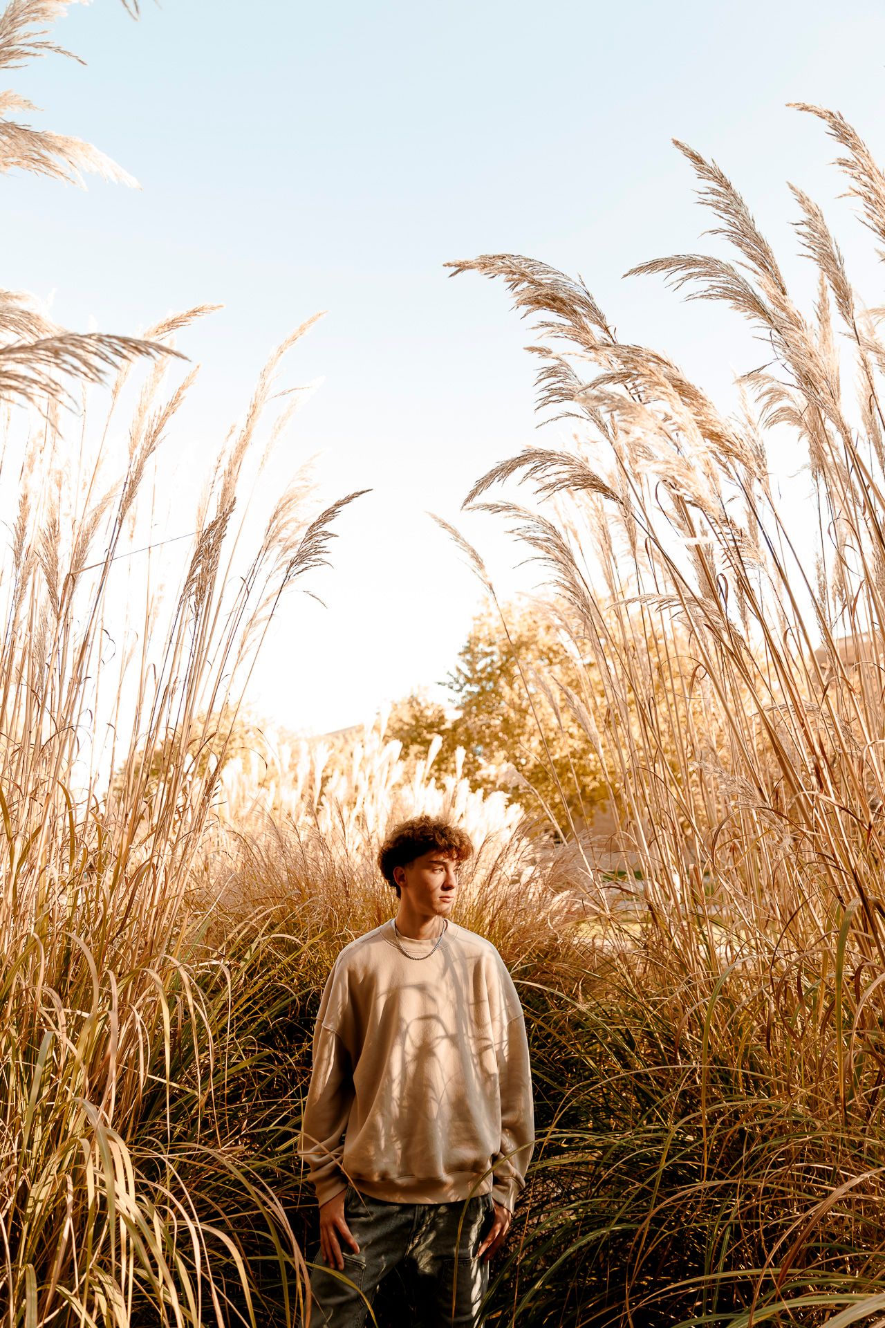Young man in beige sweatshirt standing among tall golden pampas grass in warm sunlight.