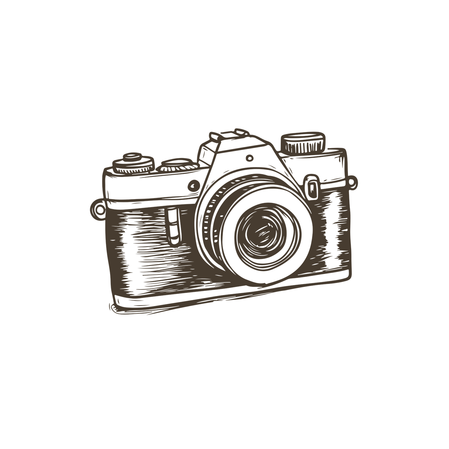 Hand-drawn sketch of vintage film cameras in a horizontal row showing different angles and perspectives.