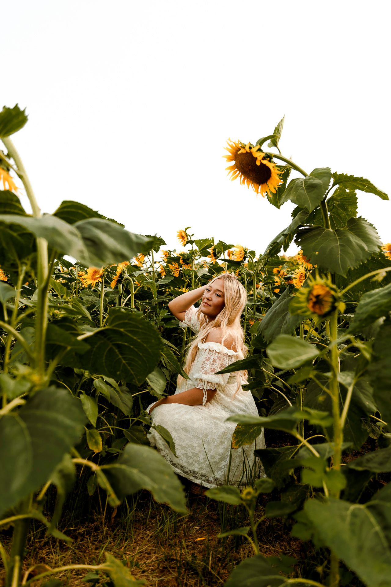 Blonde woman in white dress sitting among tall sunflowers in a sunflower field on an overcast day.