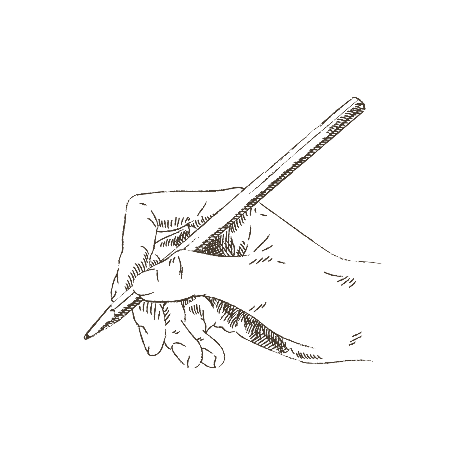 Hand-drawn sketches showing different gestures and poses of hands holding and writing with a pencil or pen.