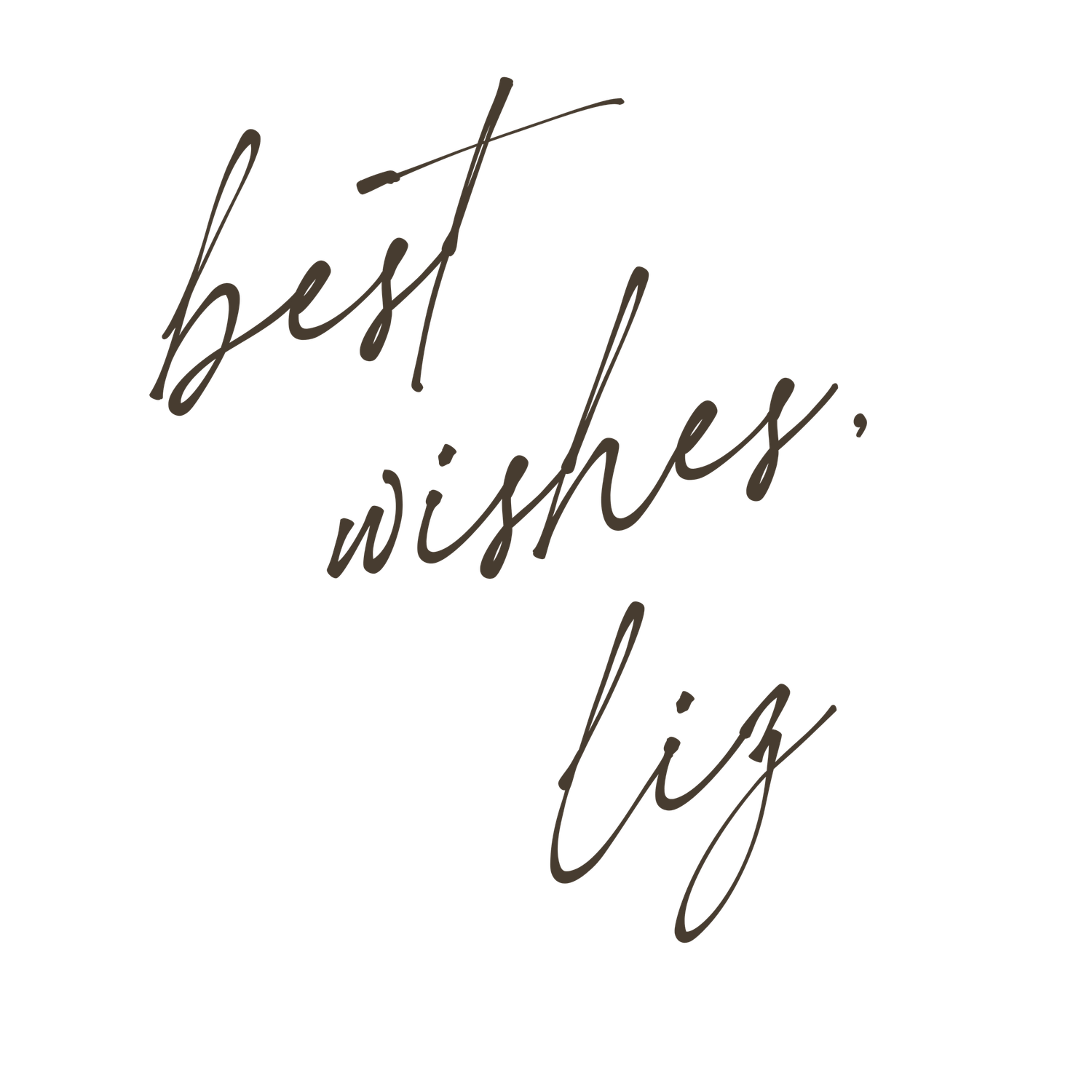 Handwritten cursive script reading best wishes, Liz in dark brown ink on white background.