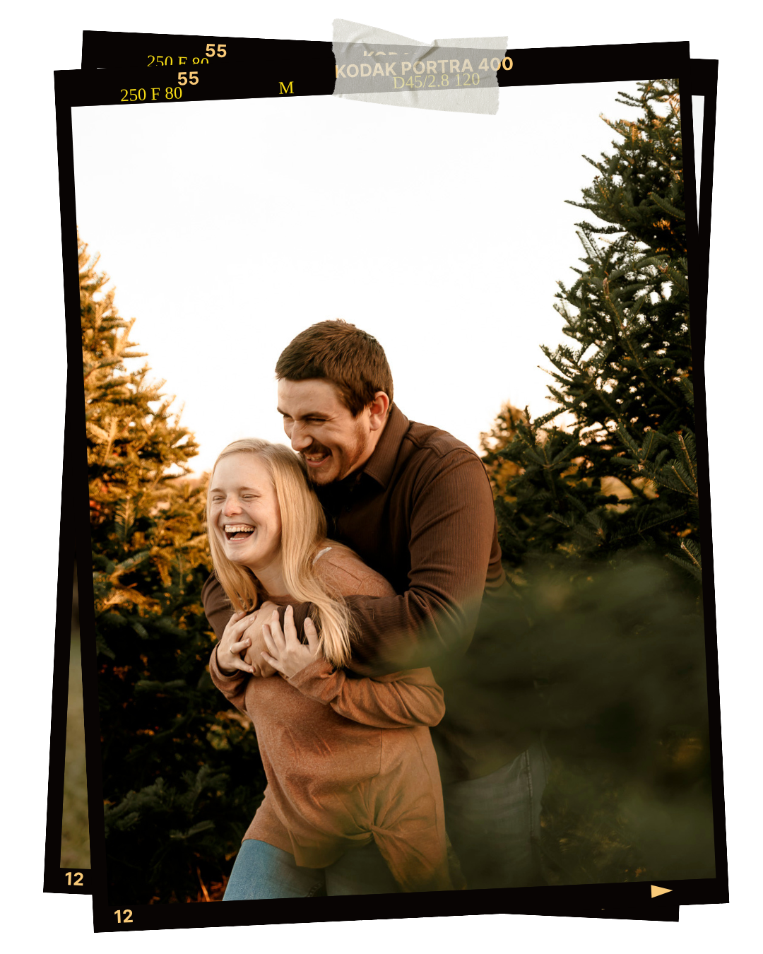 Couple laughing and embracing at a Christmas tree farm with golden backlight and evergreen trees.