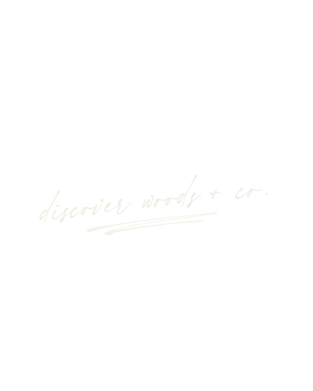 Discover Words & Co. logo in elegant cursive script on a clean white background.