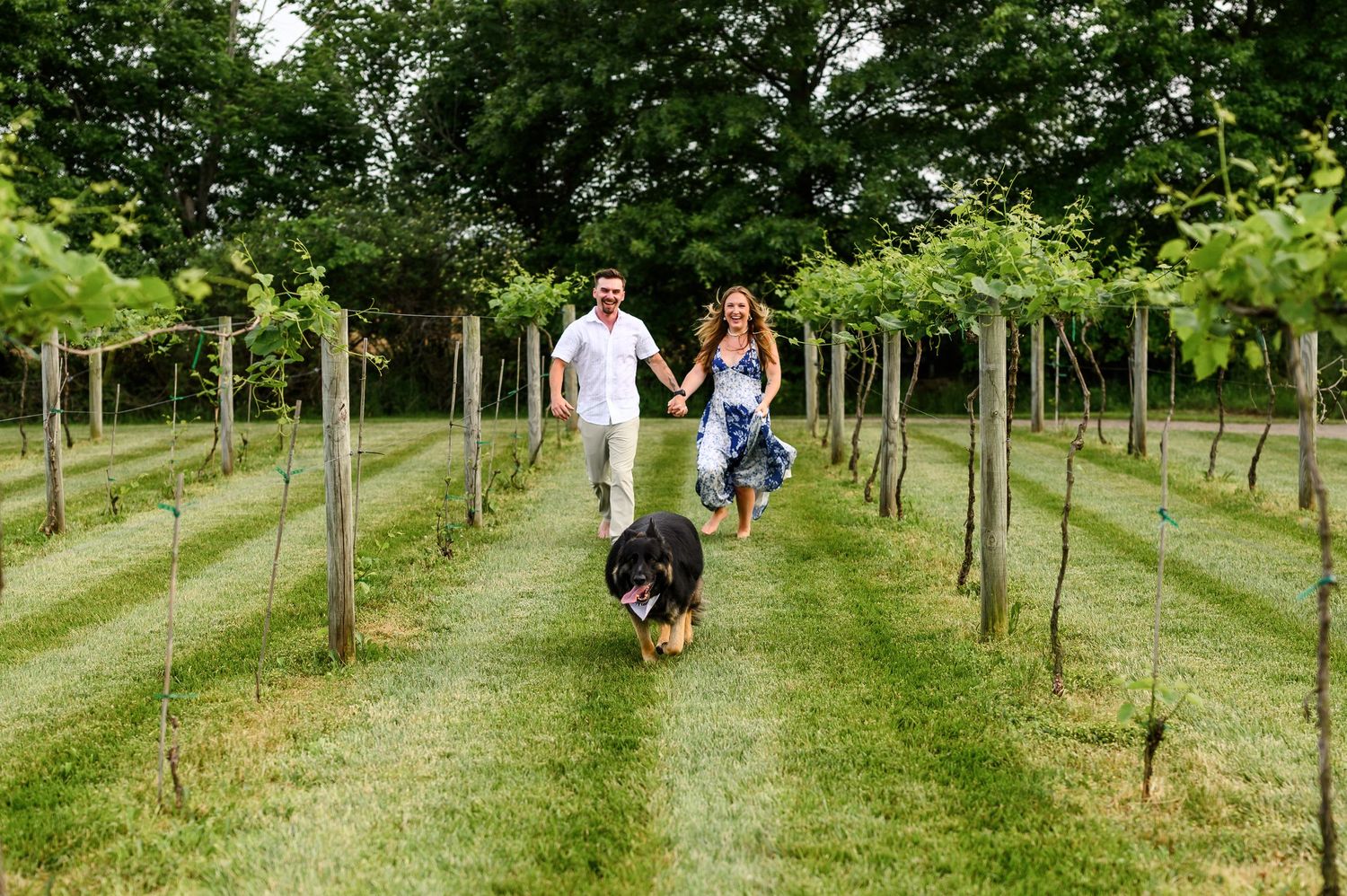 Couple running hand-in-hand with a dog through lush green vineyard rows during an outdoor engagement photo session.