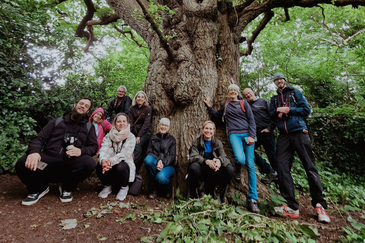 A group stands gathered around a large gnarly tree trunk in a lush green forest setting.