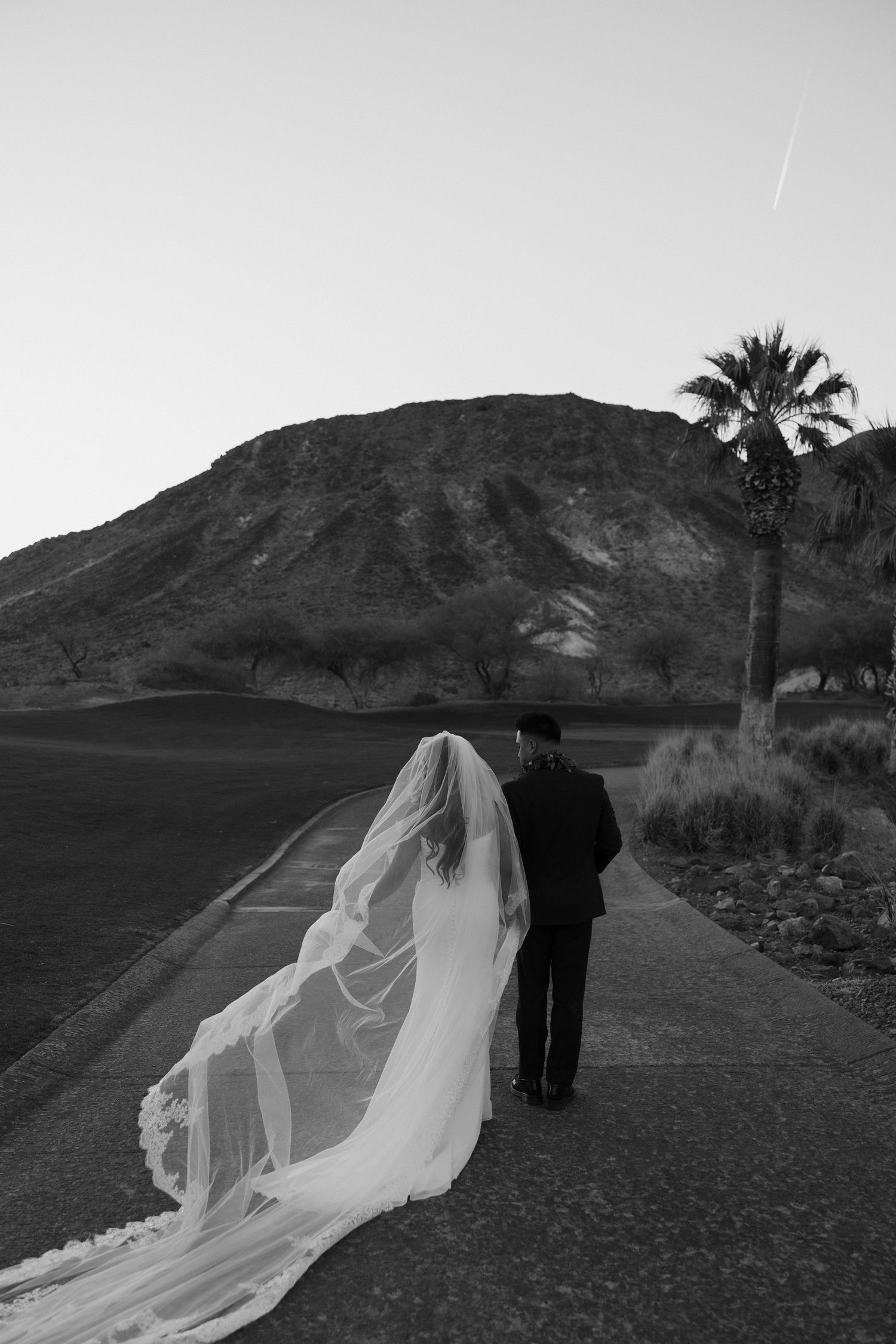 Black and white photo of bride and groom walking path, long veil flowing, palm tree and mountain behind.
