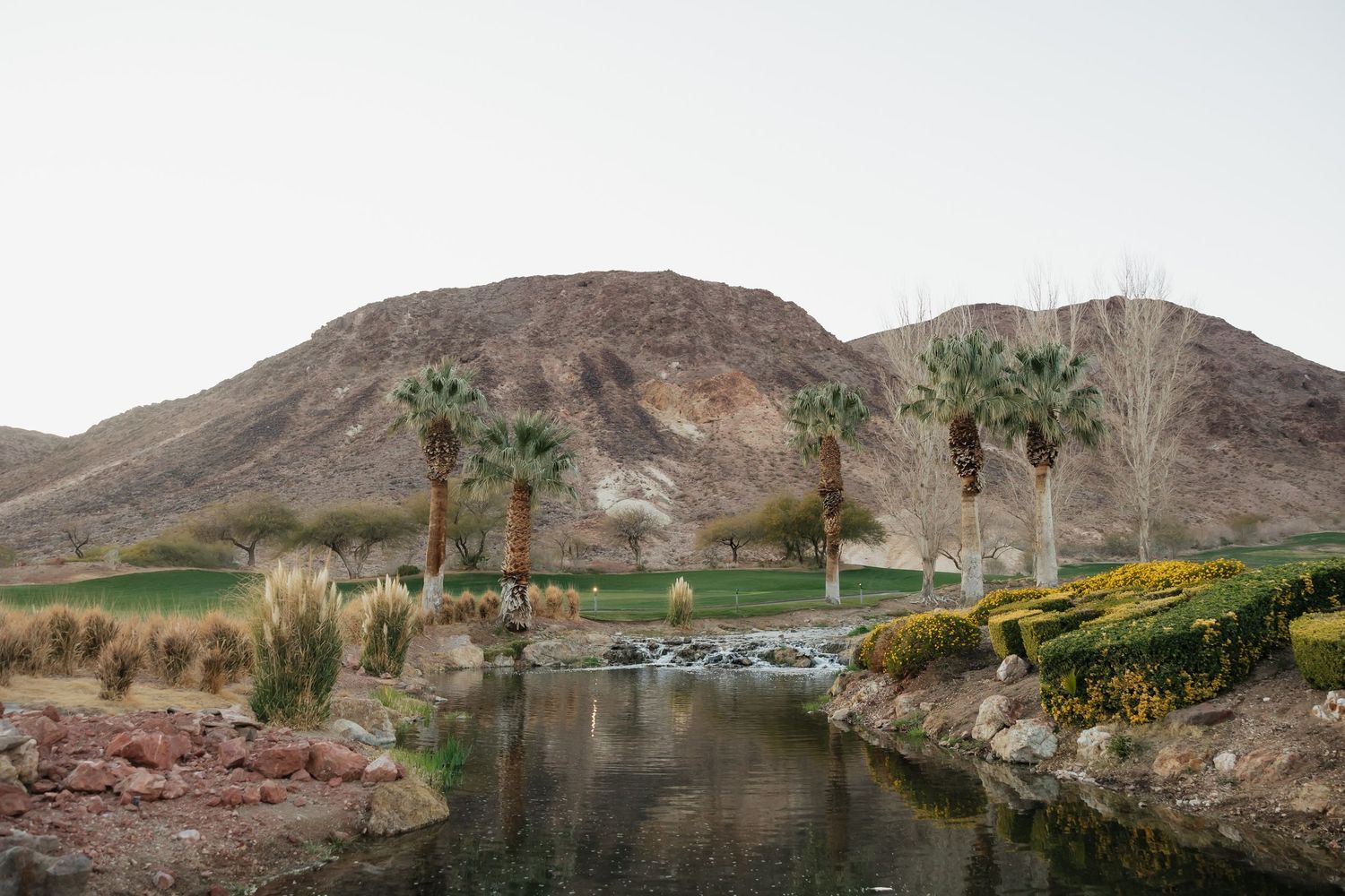 Desert oasis with palm trees, rocky hills, and a serene pond surrounded by lush greenery in an arid landscape.