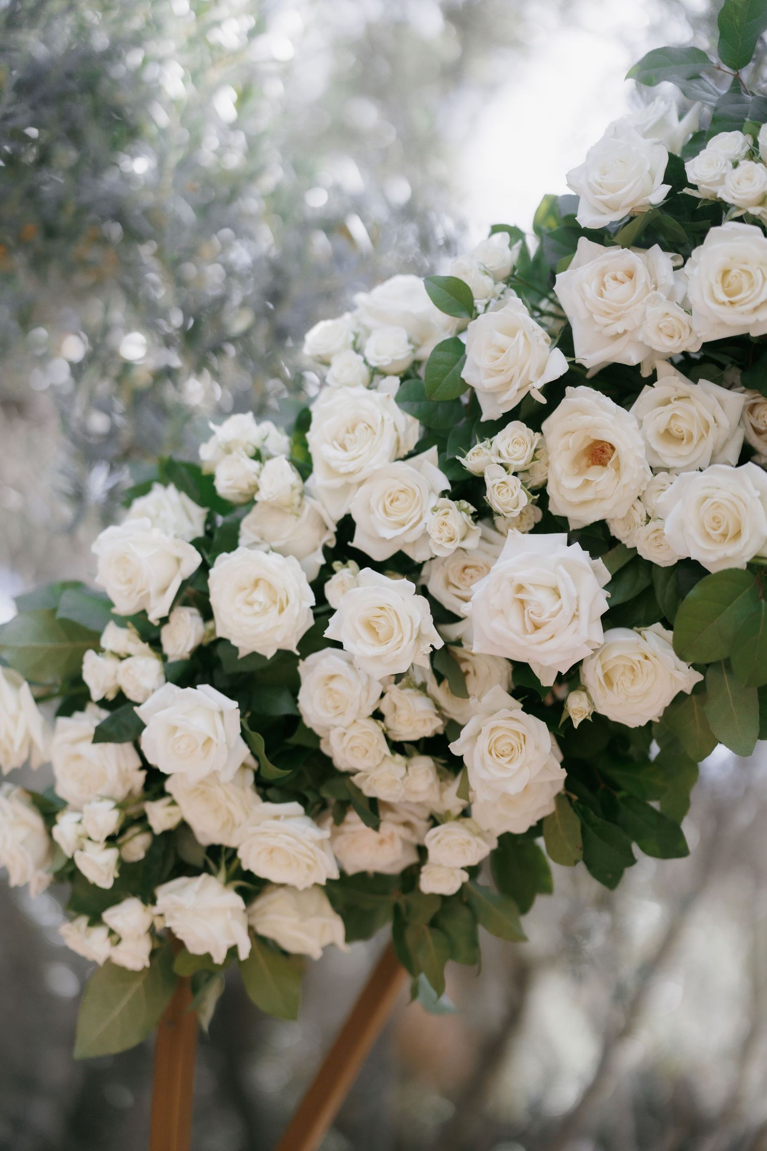 Elegant wedding arch adorned with lush white roses and green leaves, perfect for outdoor ceremonies.