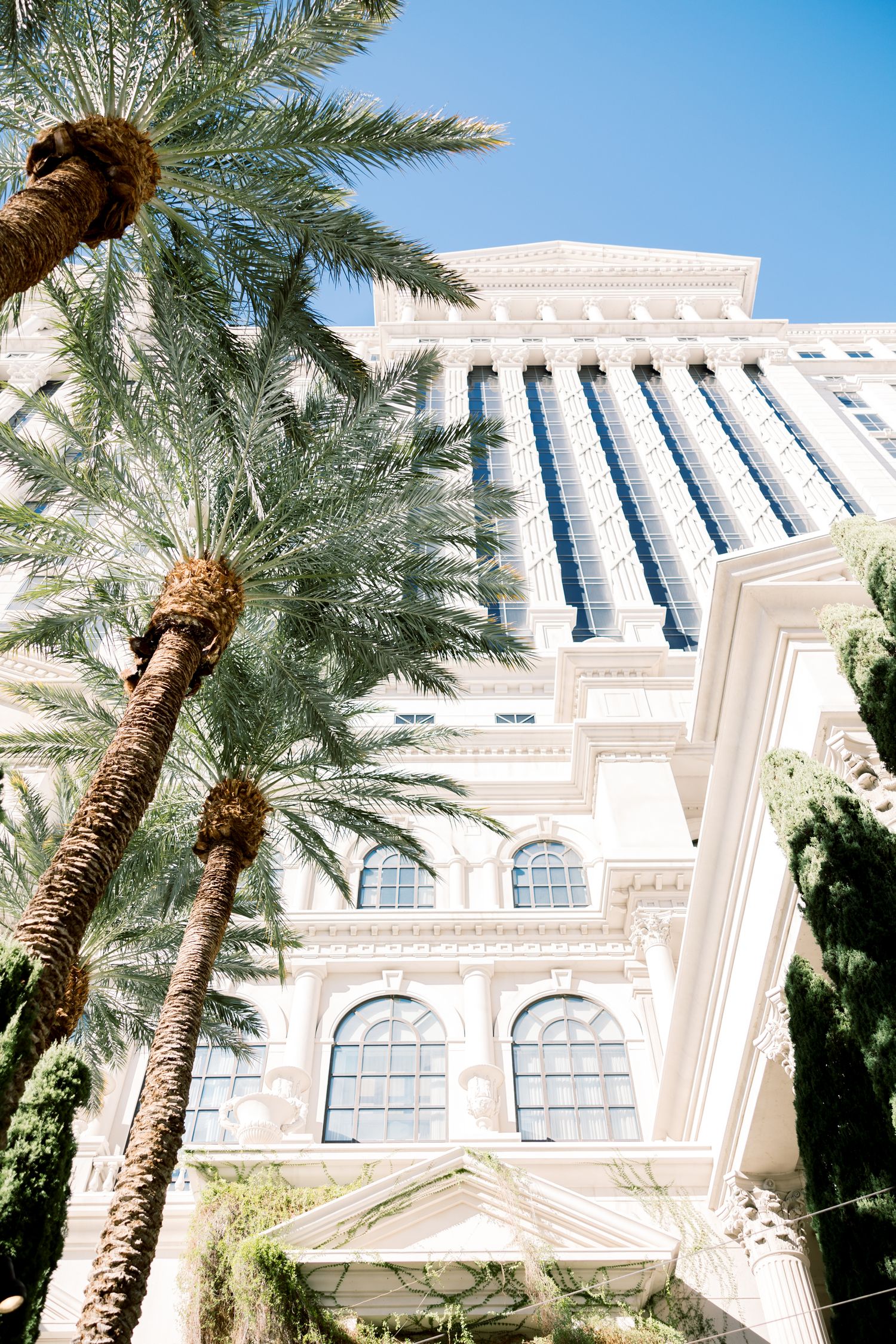 Elegant white Las Vegas hotel exterior with palm trees and classical architecture against a clear blue sky.