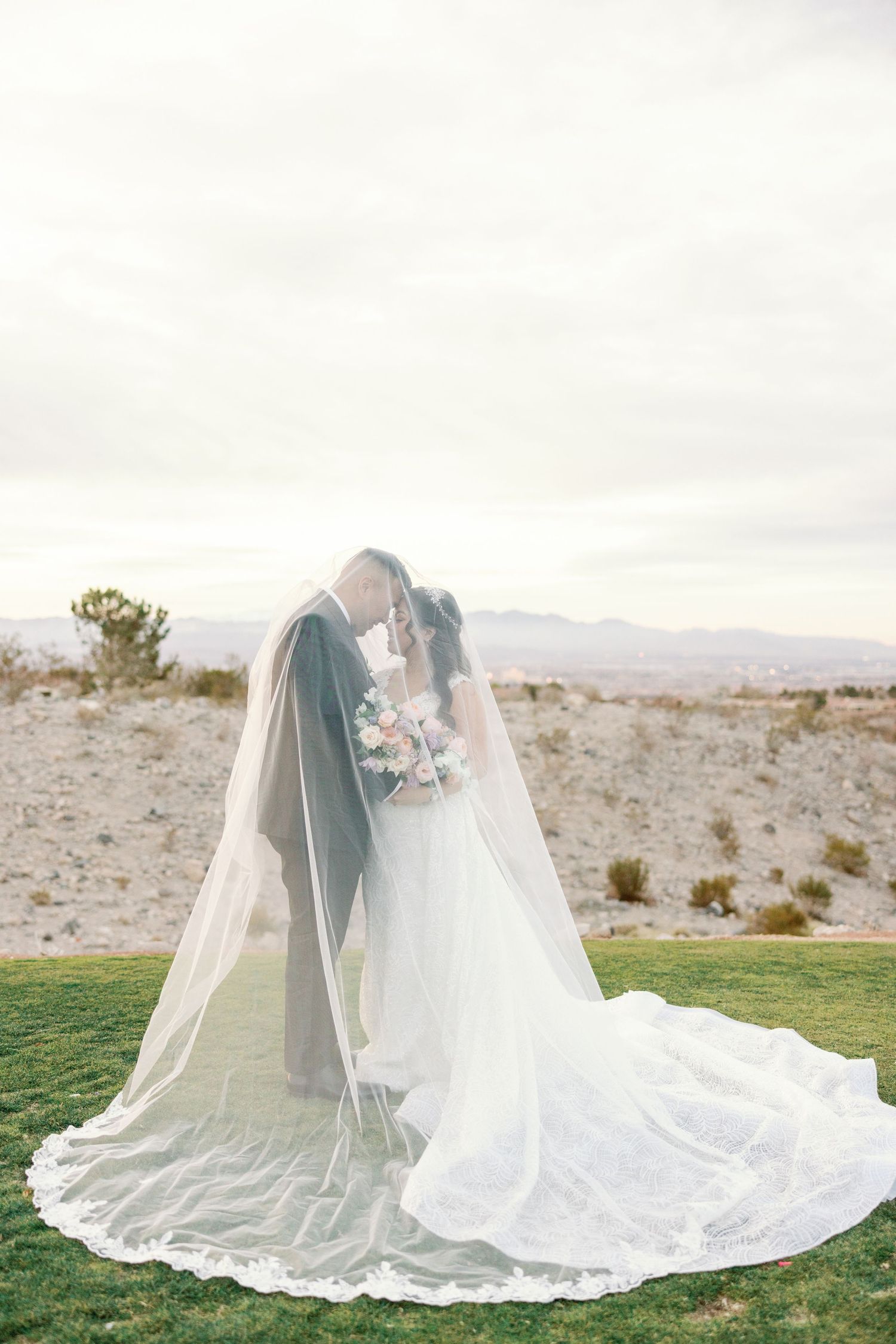Bride and groom sharing a romantic kiss under a flowing cathedral veil in a desert landscape.