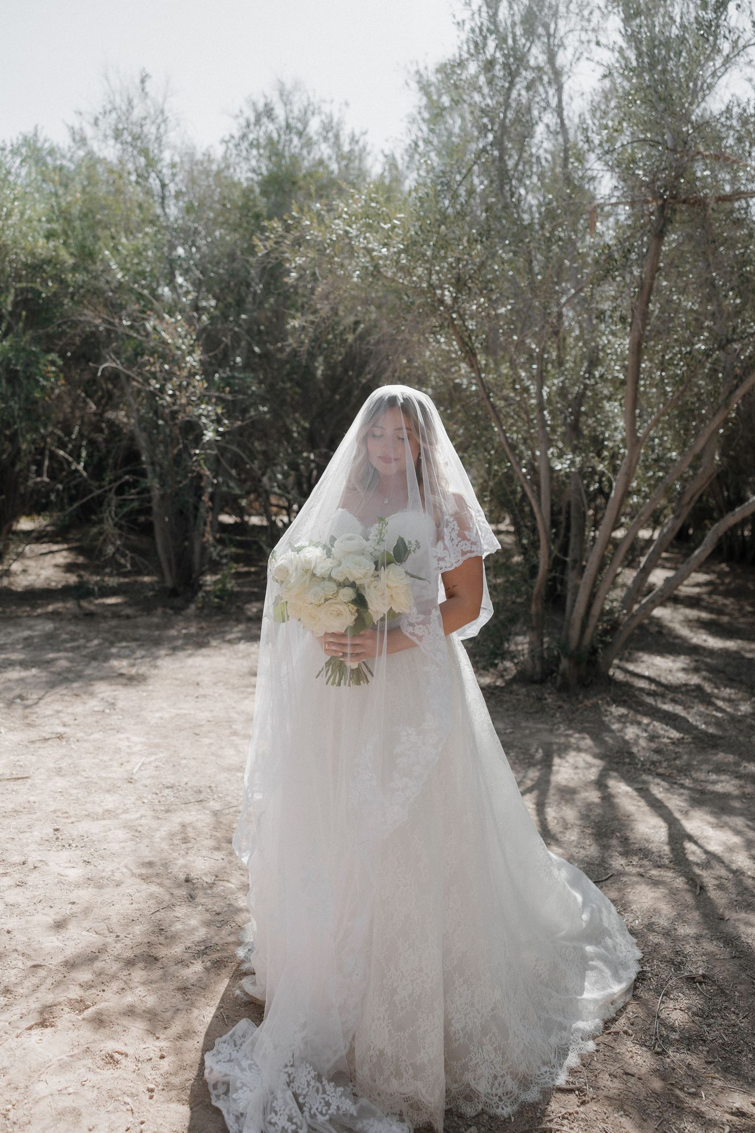 Bride in lace wedding dress and veil holds white bouquet outdoors among olive trees on sunny day.