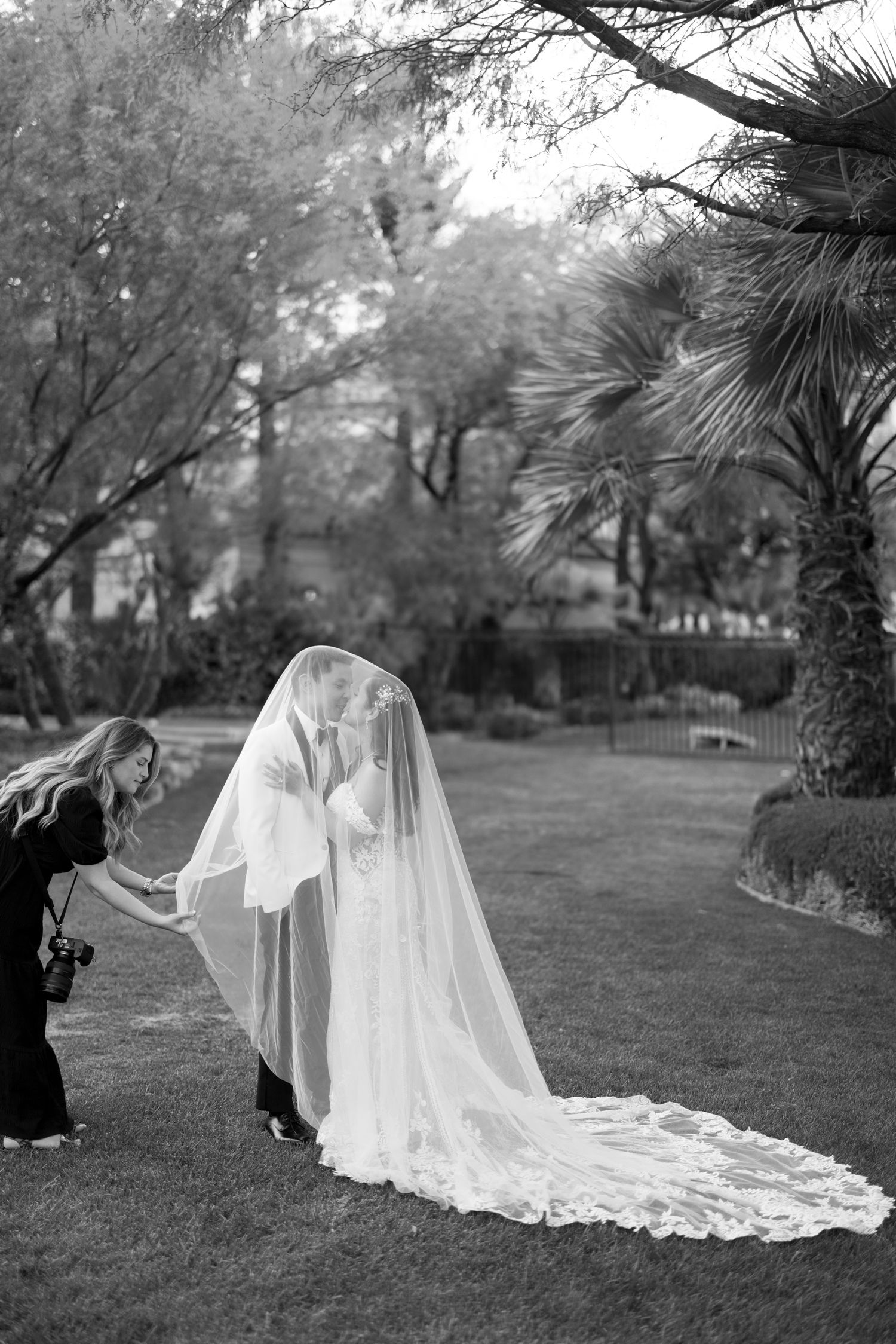 photographer working bride veil las vegas wedding professional luxury weddings