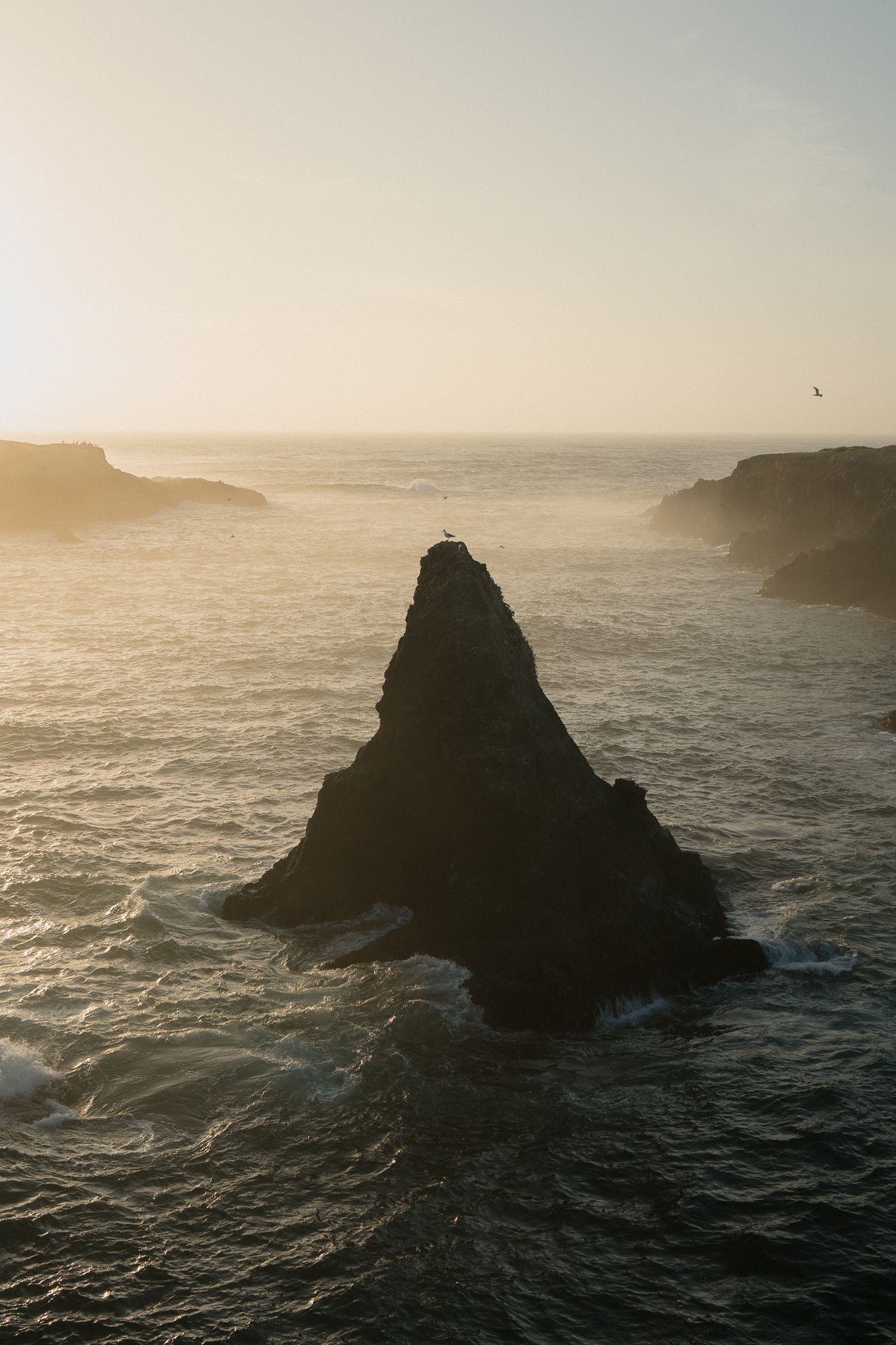 Silhouetted coastal rock formations stand against a misty ocean backdrop during golden hour at the Pacific coastline.