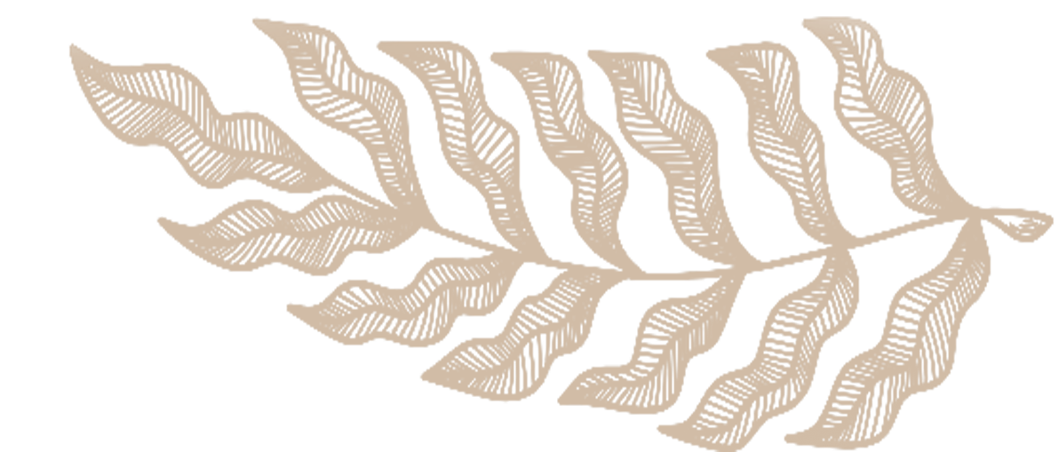 Decorative beige line art pattern of flowing leaves and organic shapes against white background.