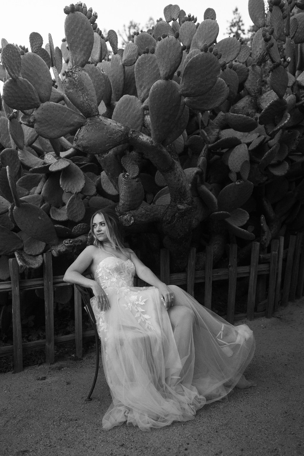 A person in a flowing white wedding dress poses gracefully against a backdrop of tall cactus plants and a wooden fence.