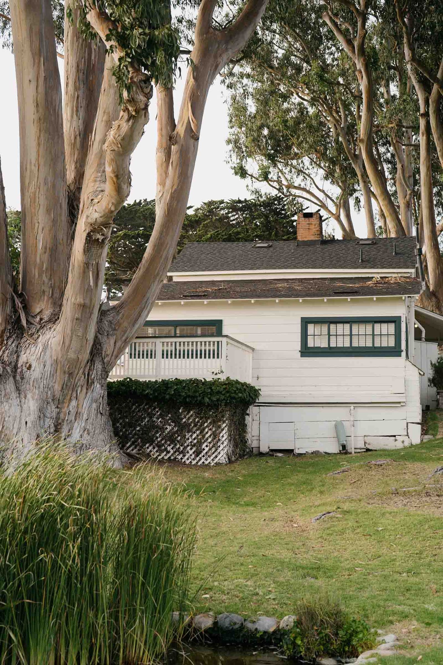 White ranch house with green trim nestled among tall eucalyptus trees in a peaceful suburban setting. mission ranch wedding venue