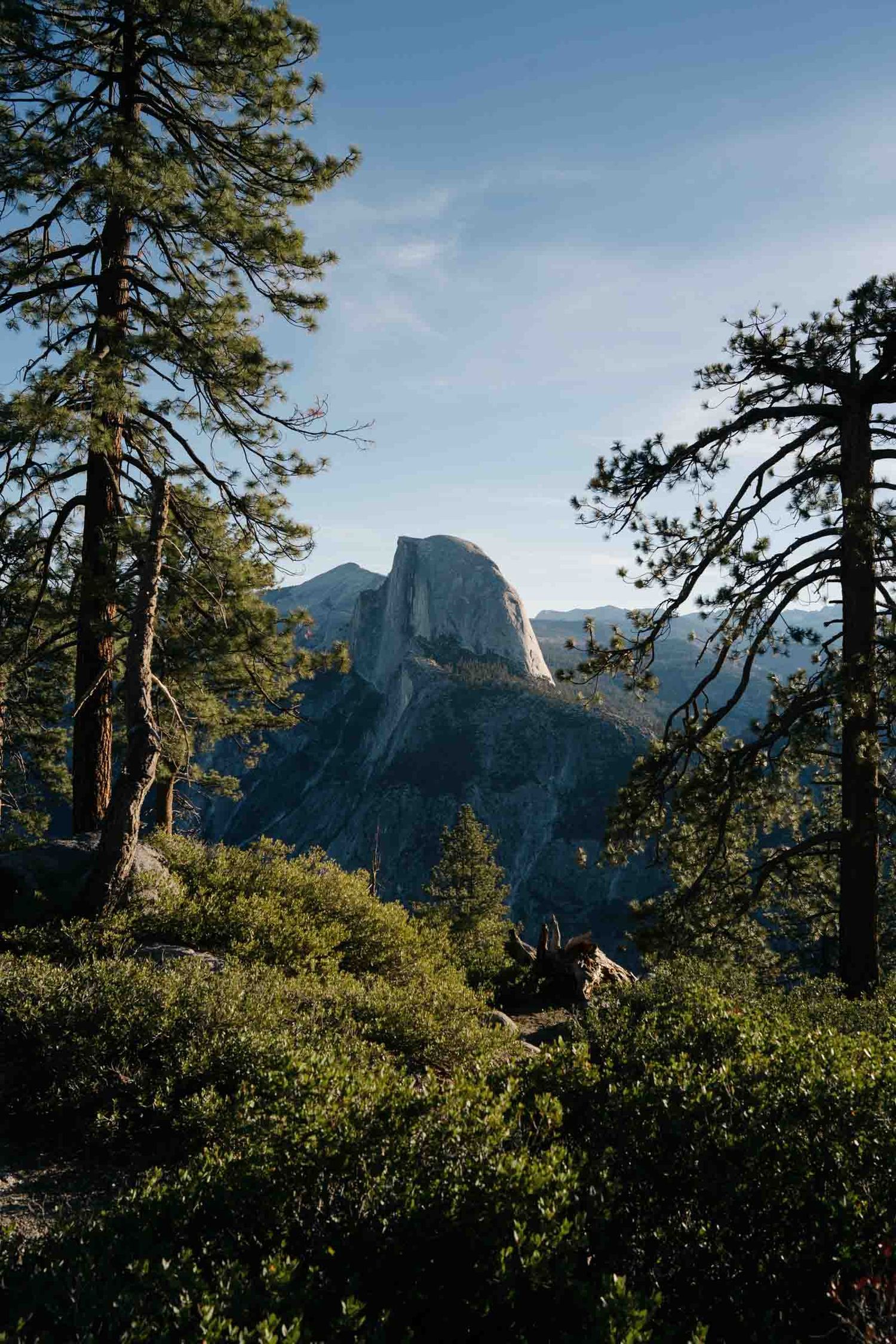 Half Dome mountain peak rises majestically above the treeline in Yosemite National Park during a clear summer day.