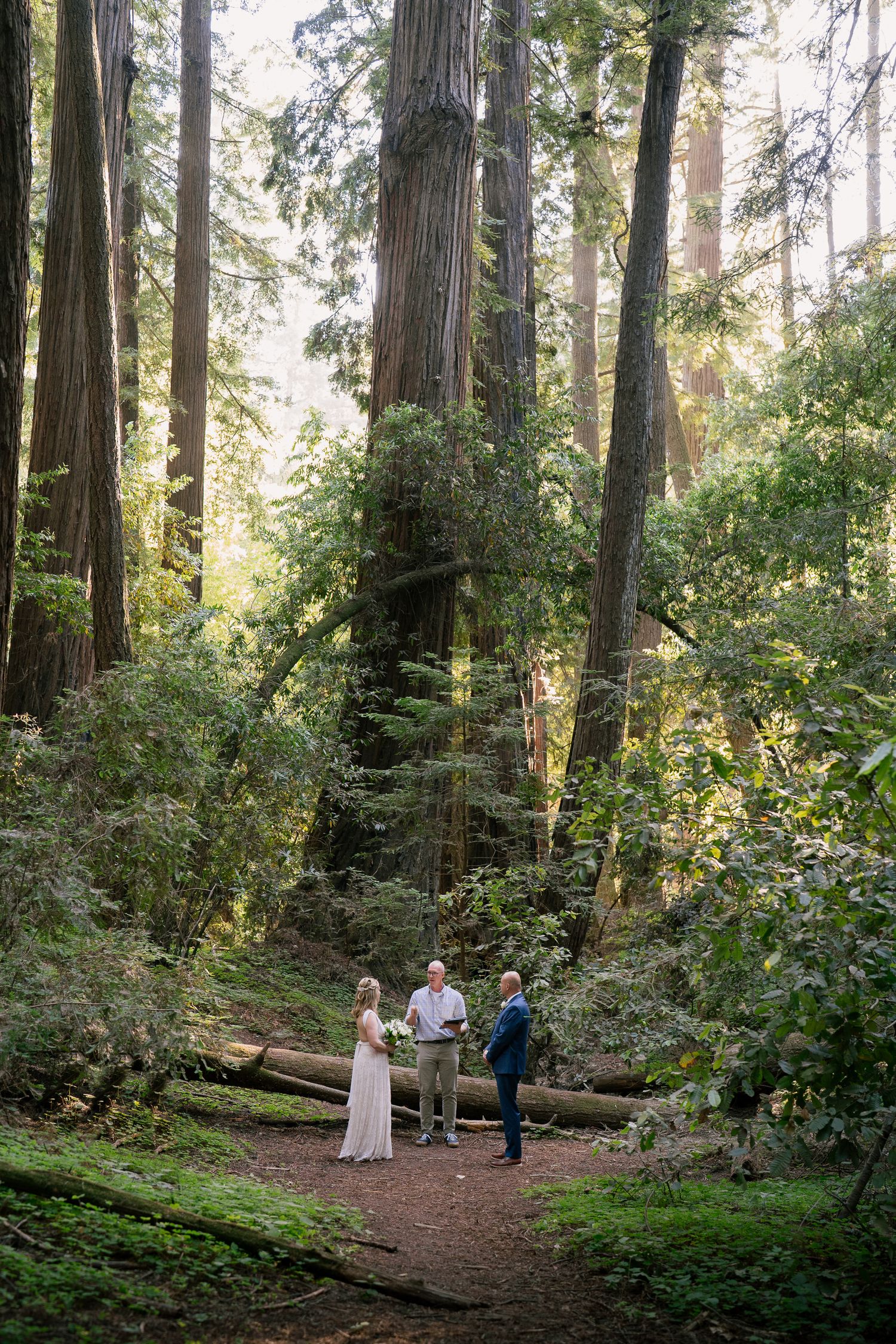 Sunlit forest ceremony with people gathering among tall redwood trees on a dirt path surrounded by lush greenery.
