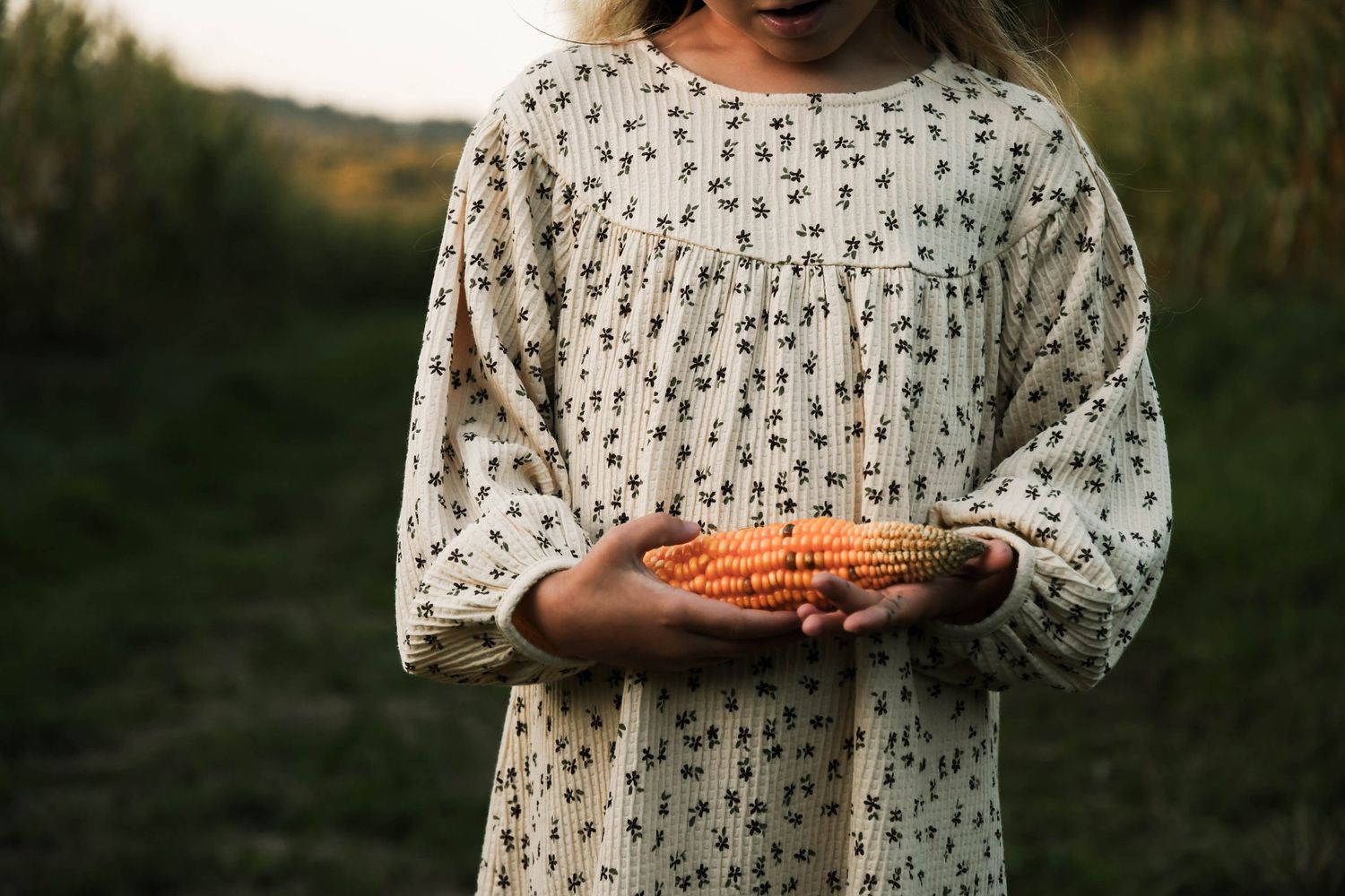 Enfant photographié en pleine nature lors d’une séance famille