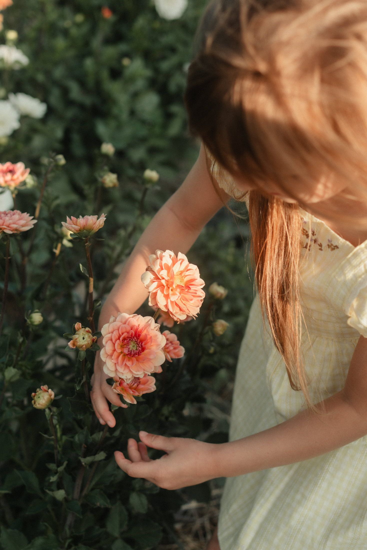 Enfant photographié en pleine nature lors d’une séance famille