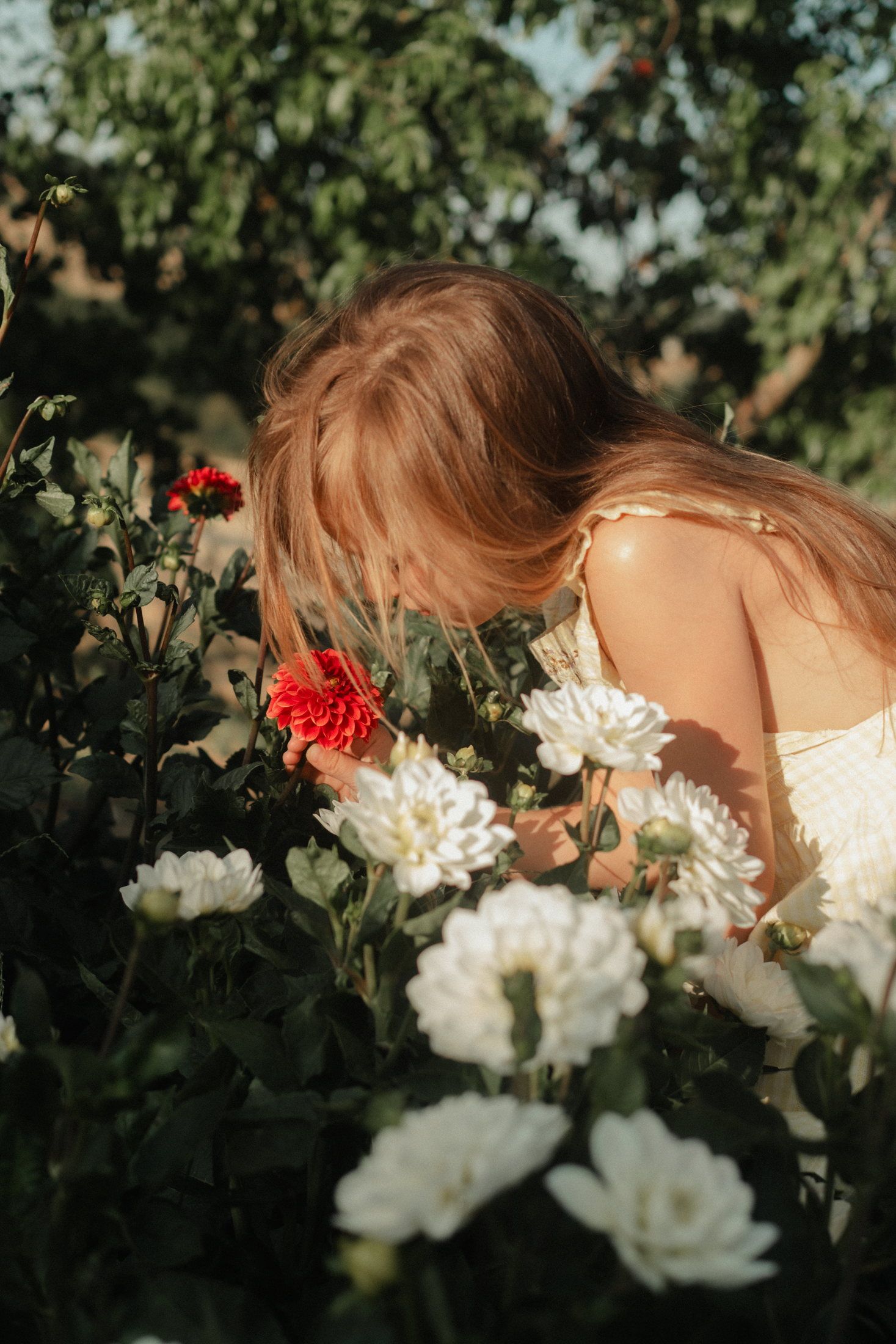 Enfant photographié en pleine nature lors d’une séance famille