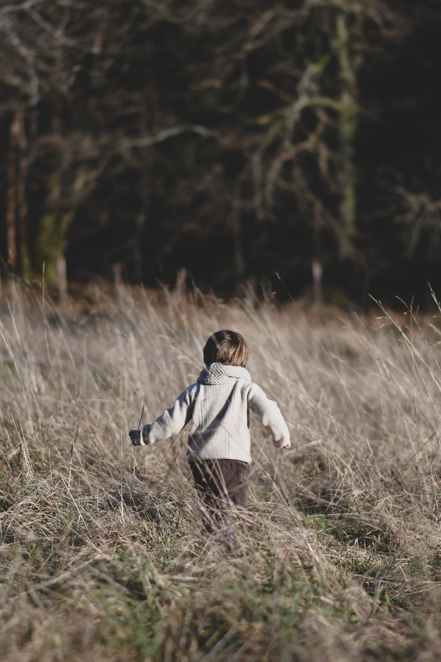 Enfant photographié en pleine nature lors d’une séance famille