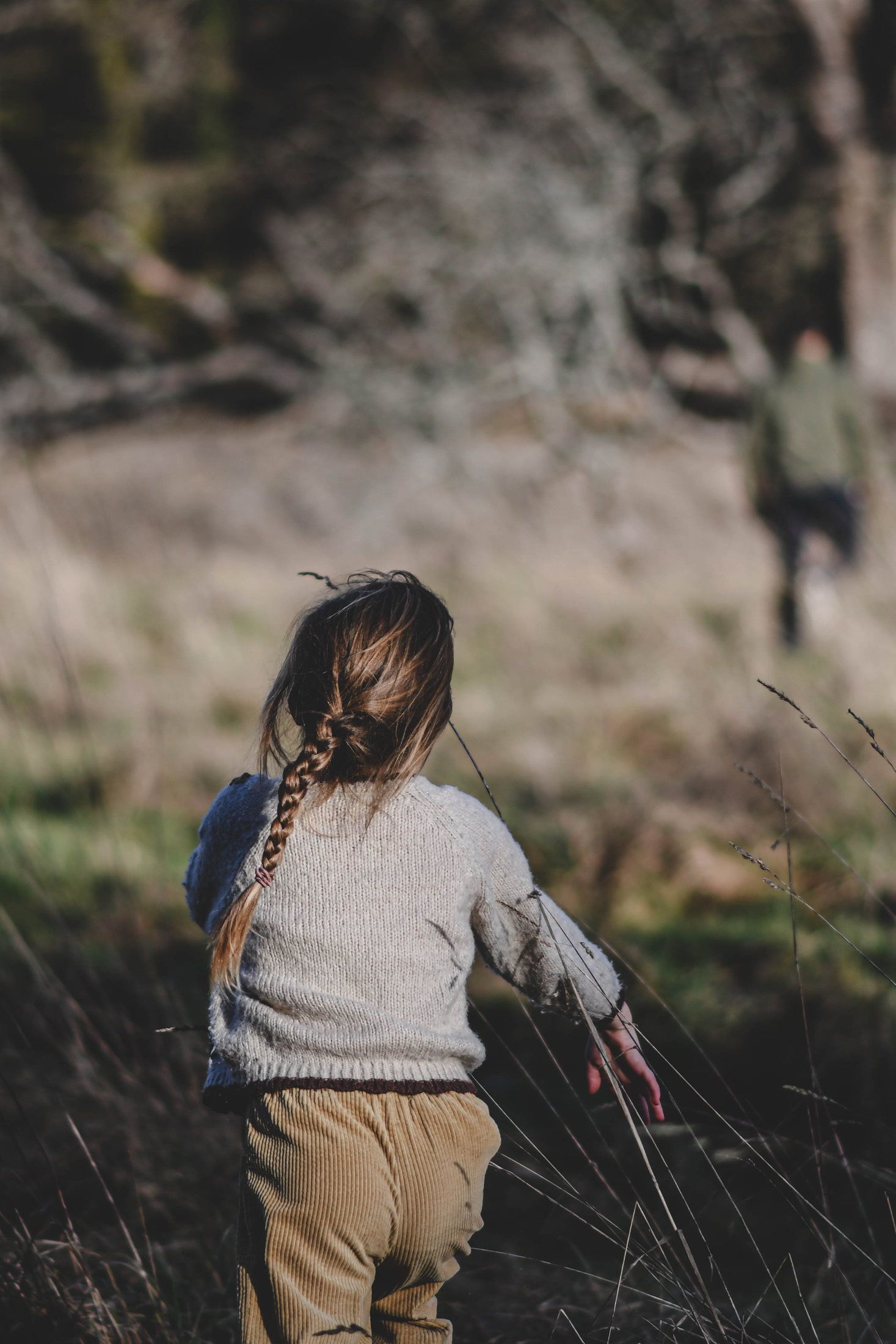 Enfant photographié en pleine nature lors d’une séance famille