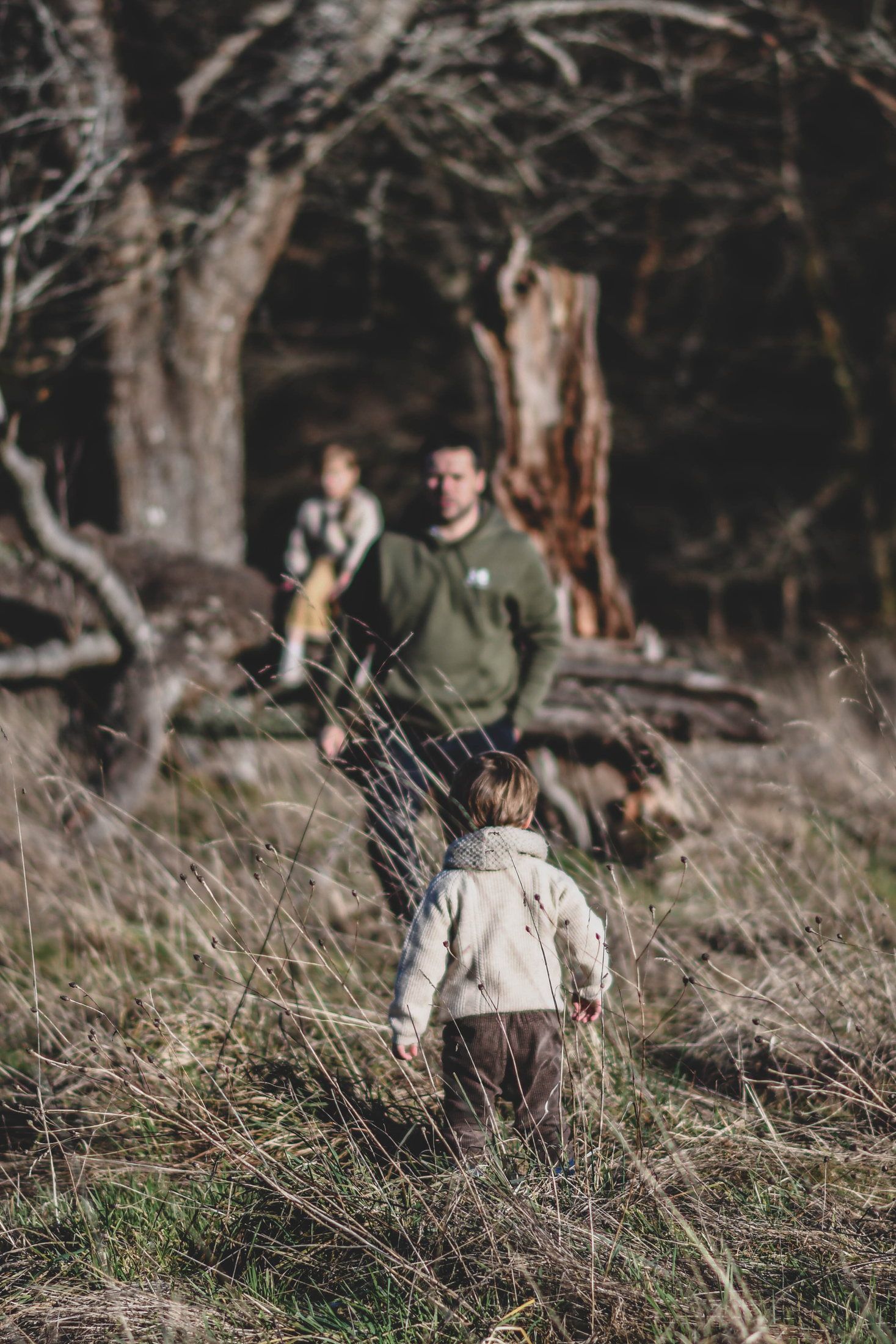 Enfant photographié en pleine nature lors d’une séance famille